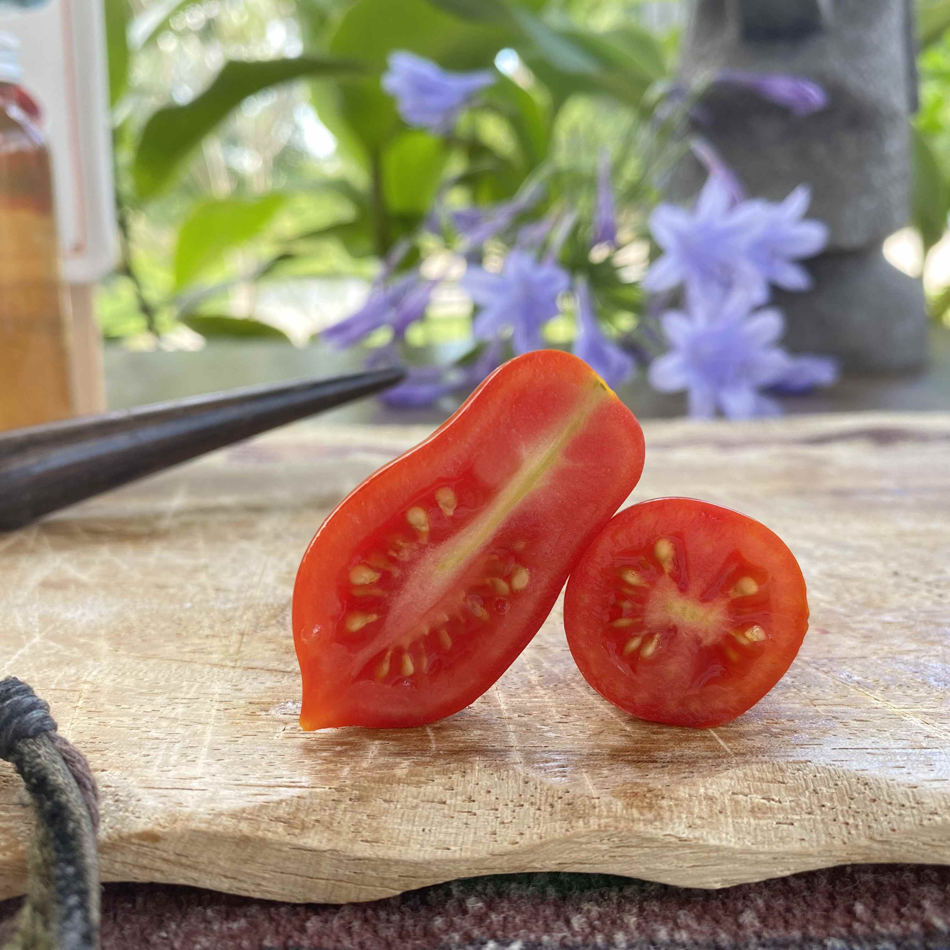 Eine aufgeschnittene längliche Tomate