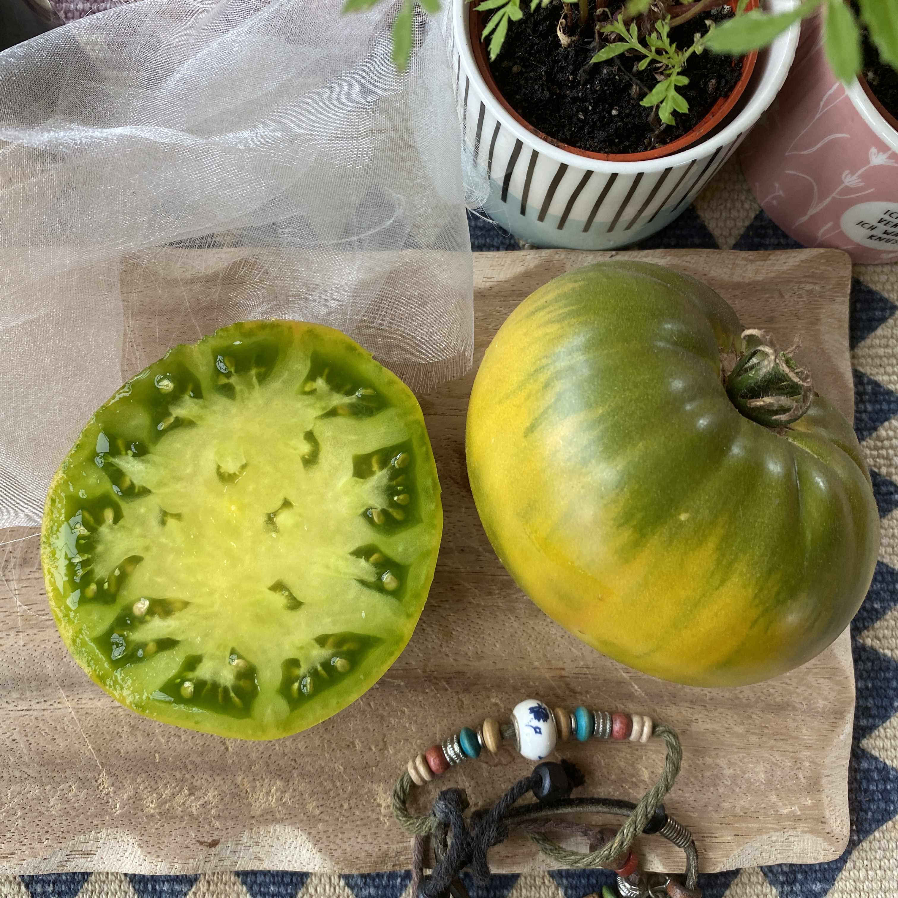 Tomatensaatgut Absinthe