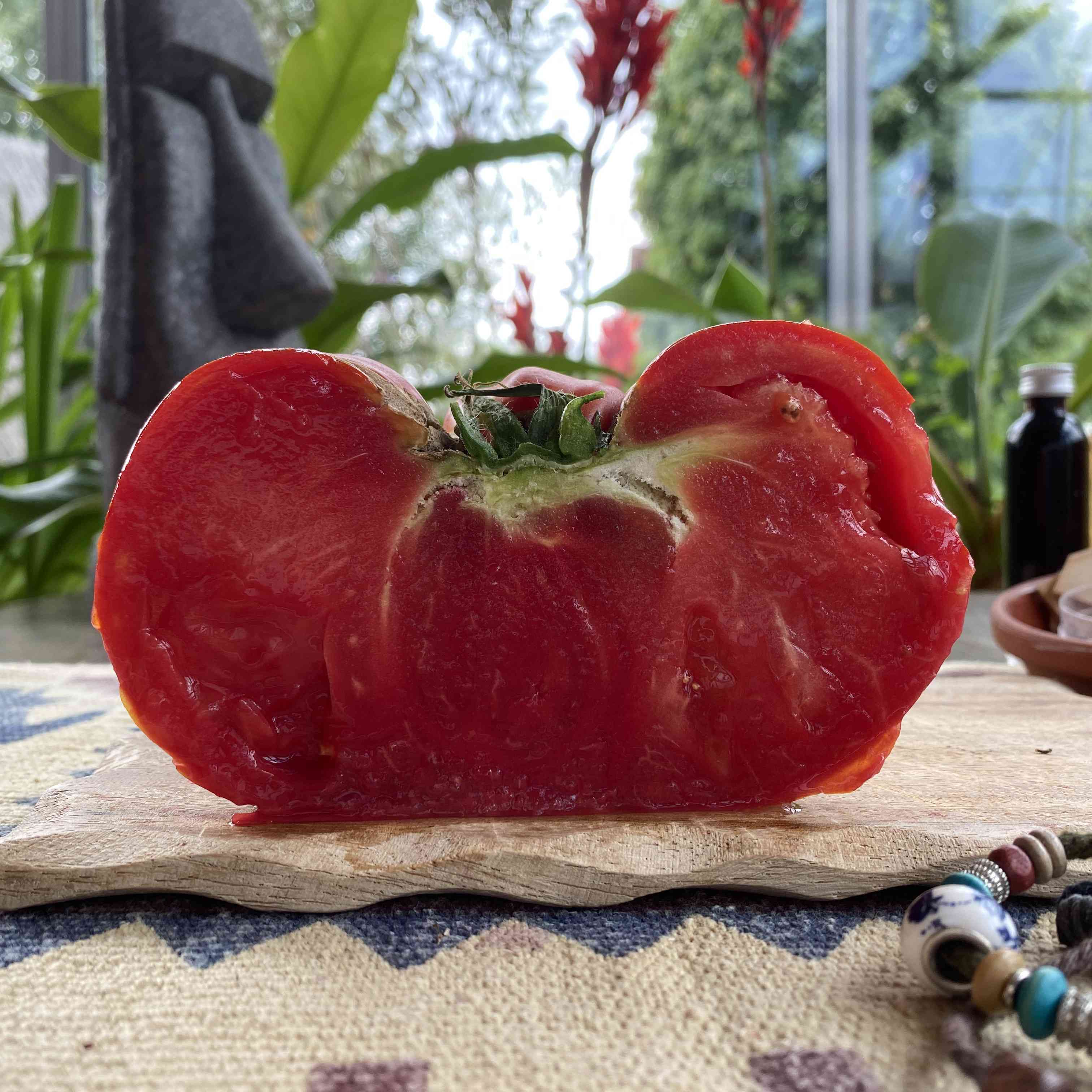 Tomatensaatgut Couilles de Taureau