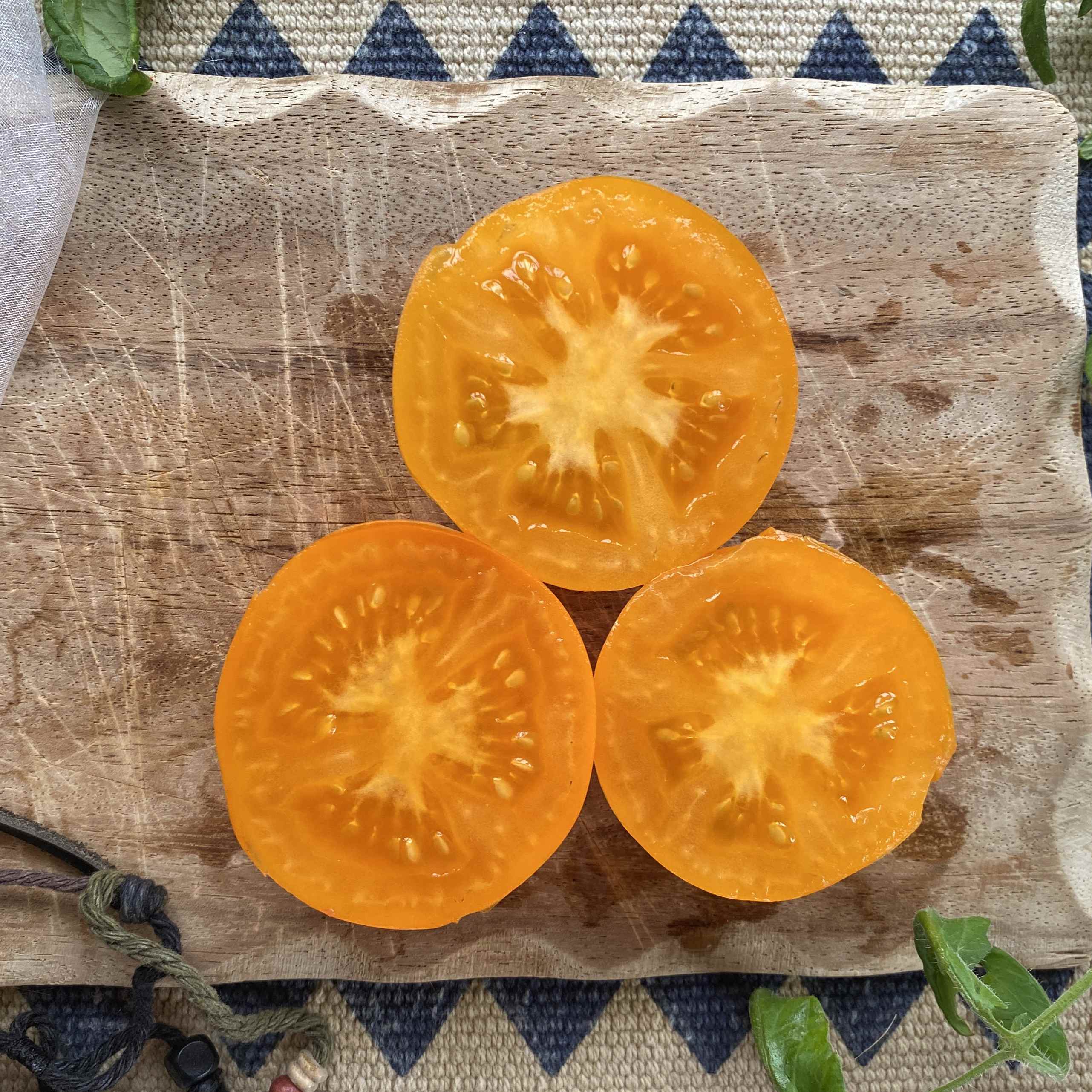 Tomatensaatgut Isis Candy