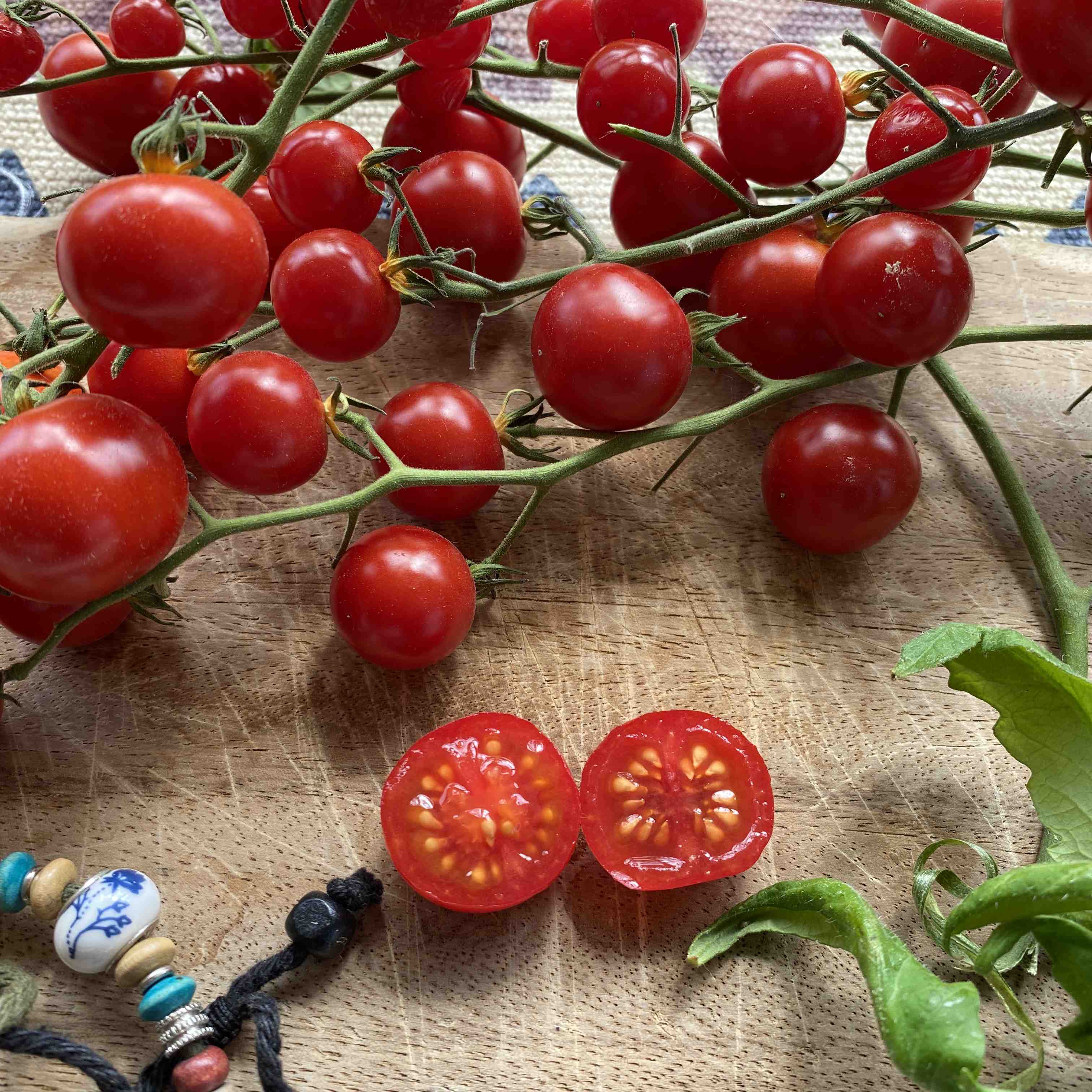 Tomatensaatgut Bolivian Obst Rot
