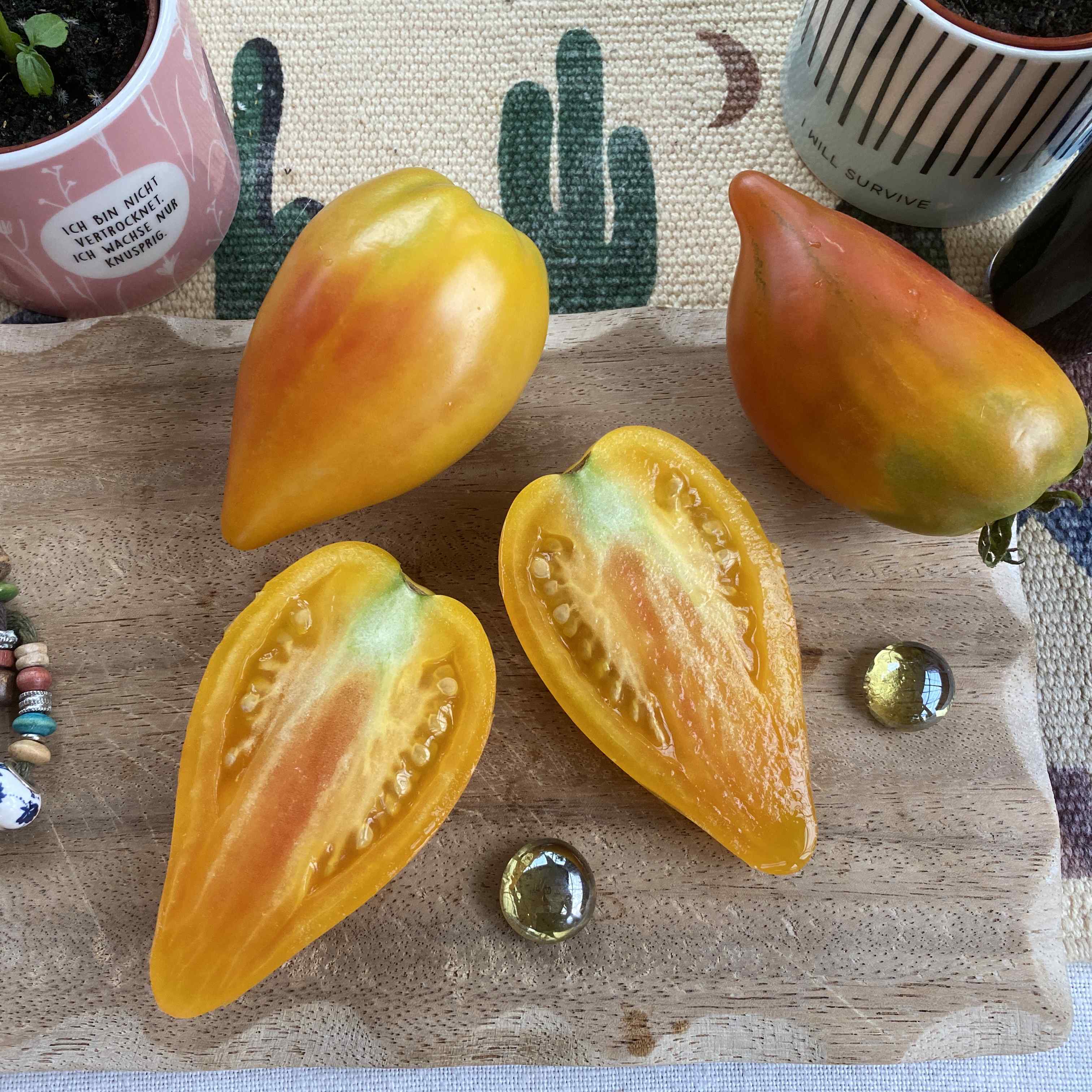 Tomatensaatgut Marina's Praise