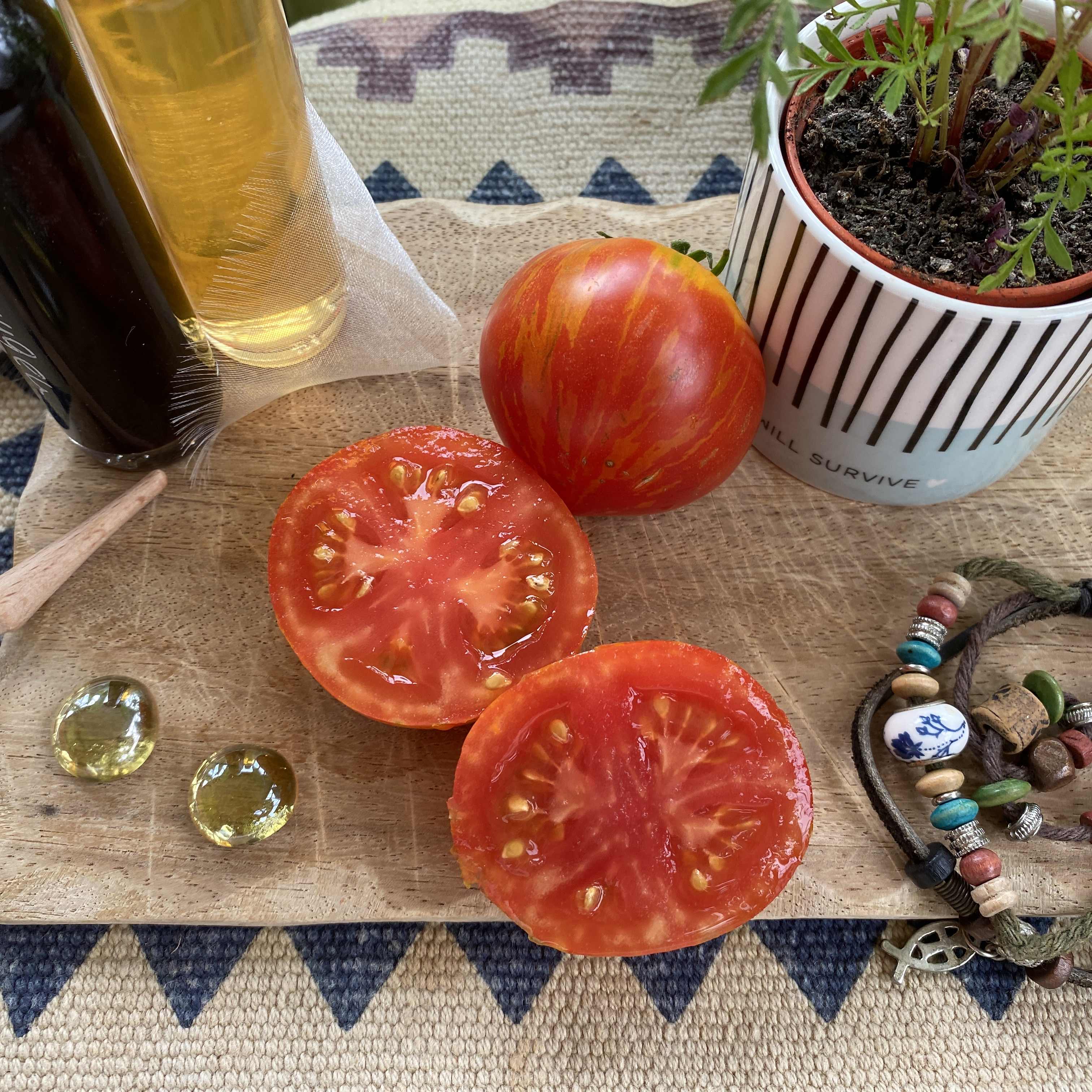 Tomatensaatgut Gandolf