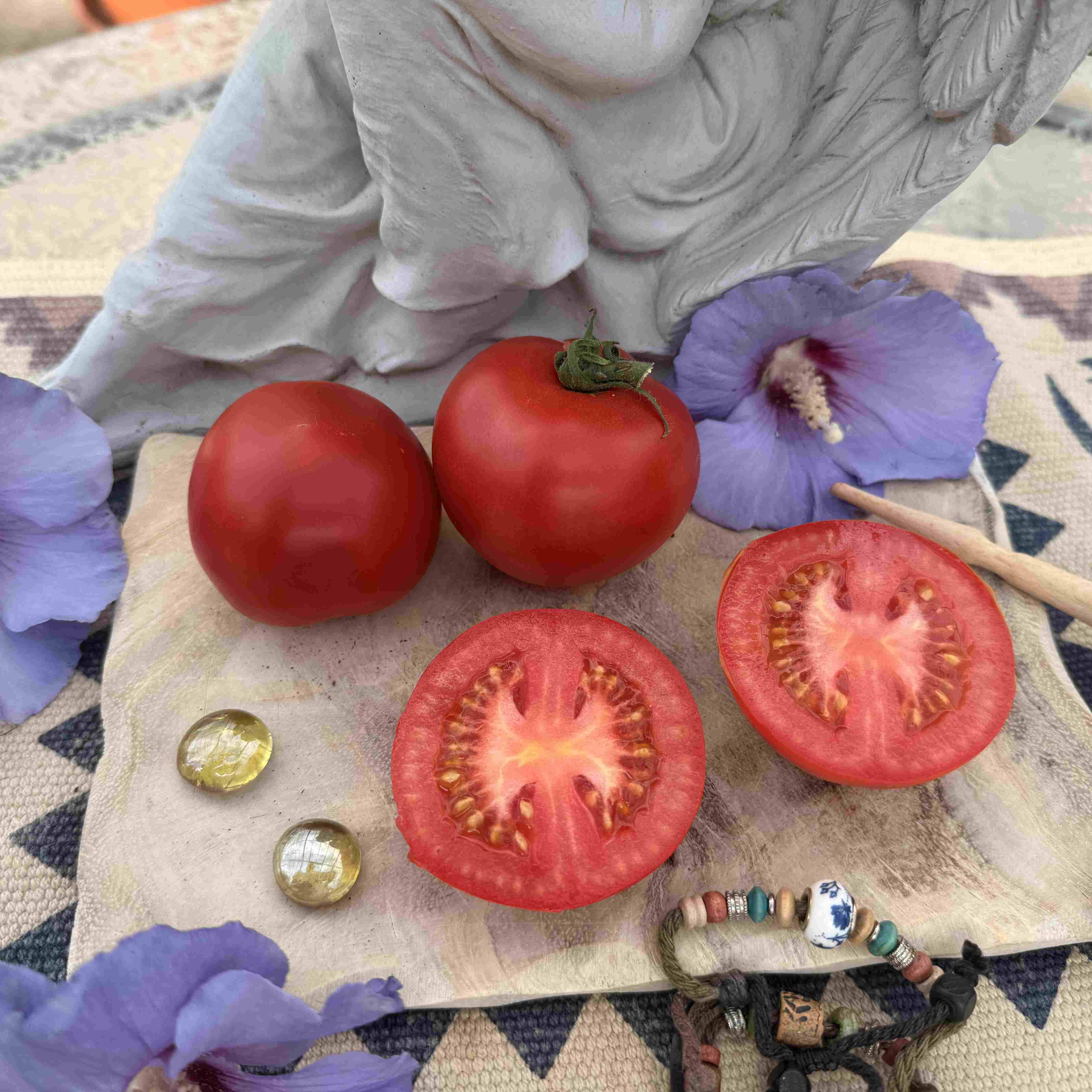 Tomatensaatgut Moneymaker