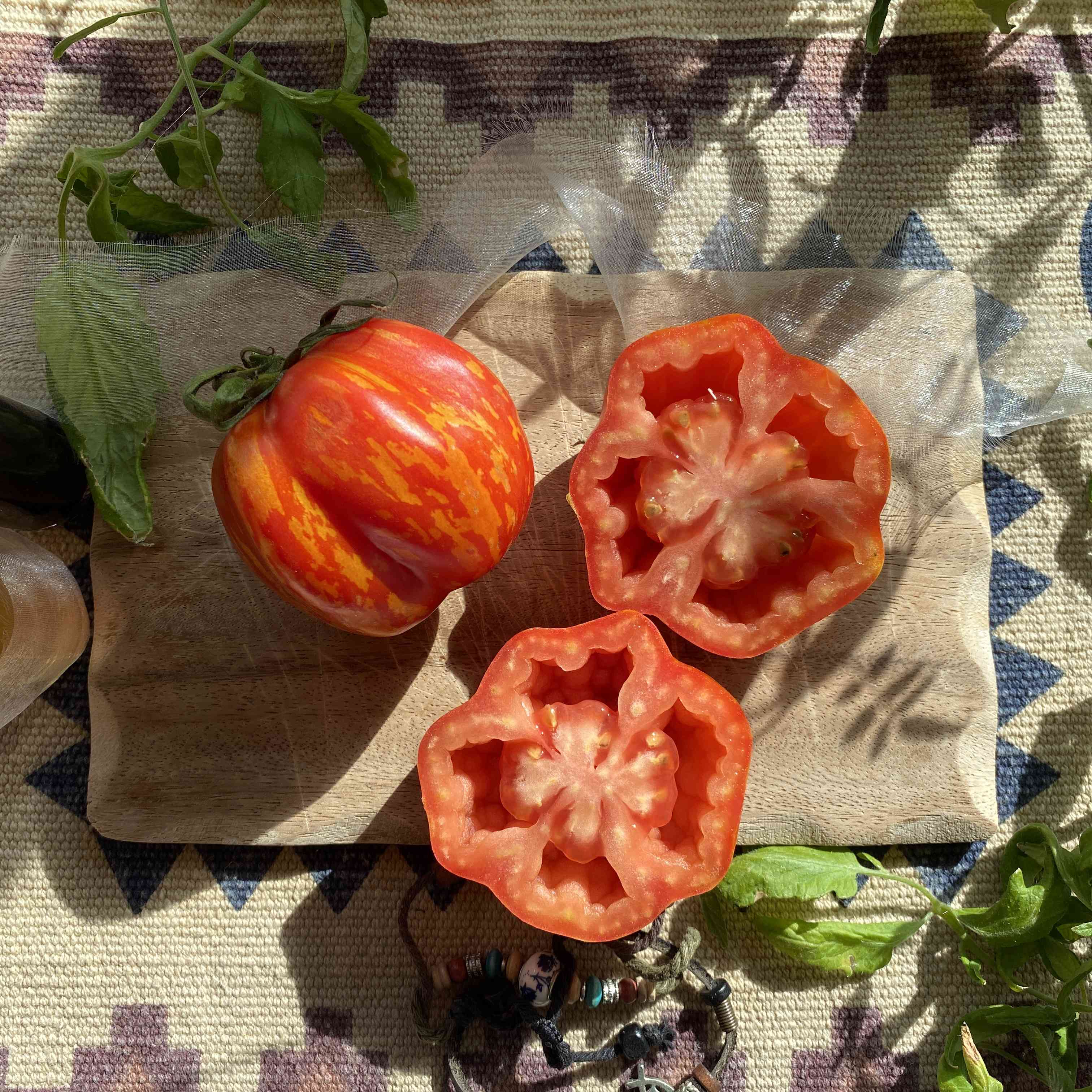 Tomatensaatgut New Shirmer Stock