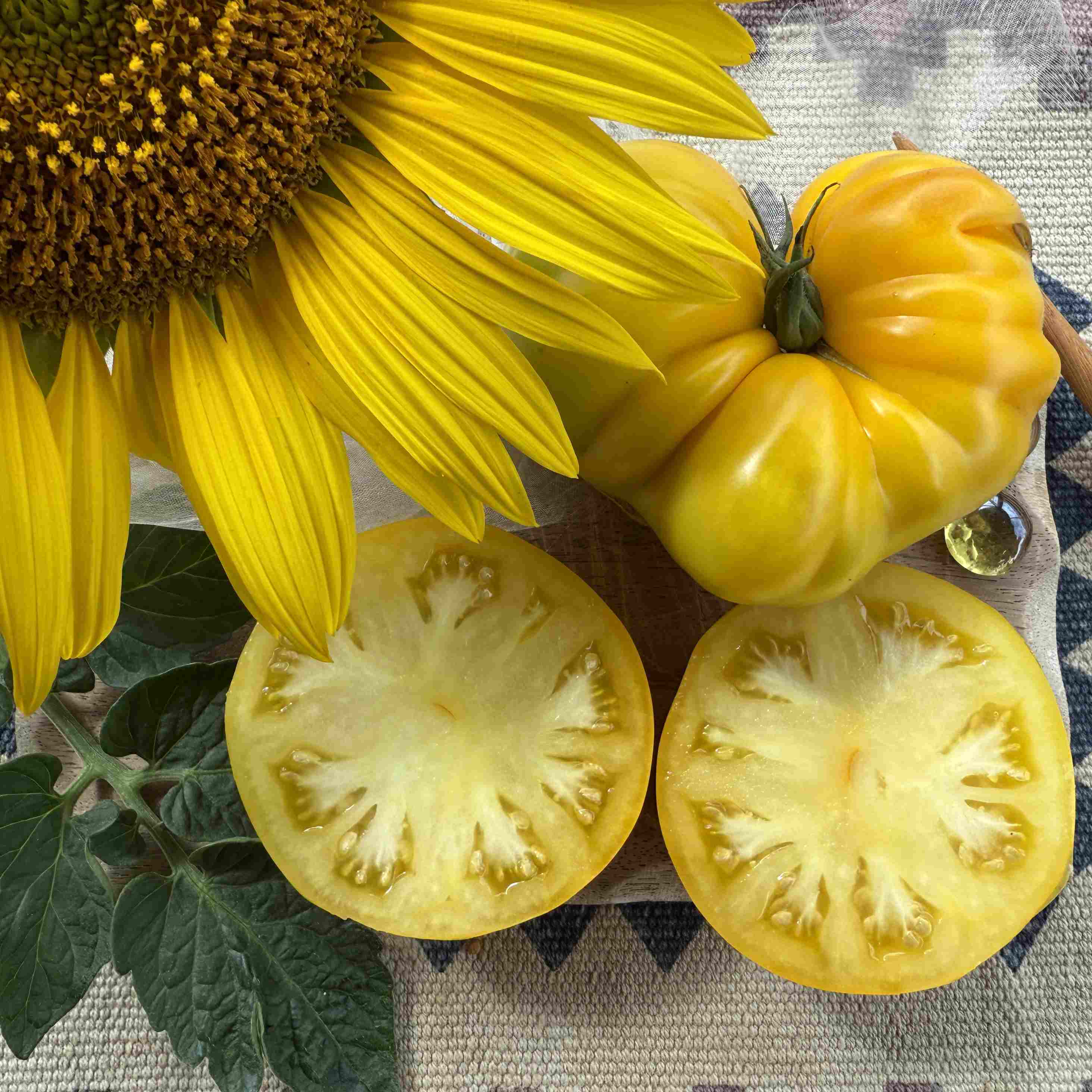 Tomatensaatgut Giant Lemon