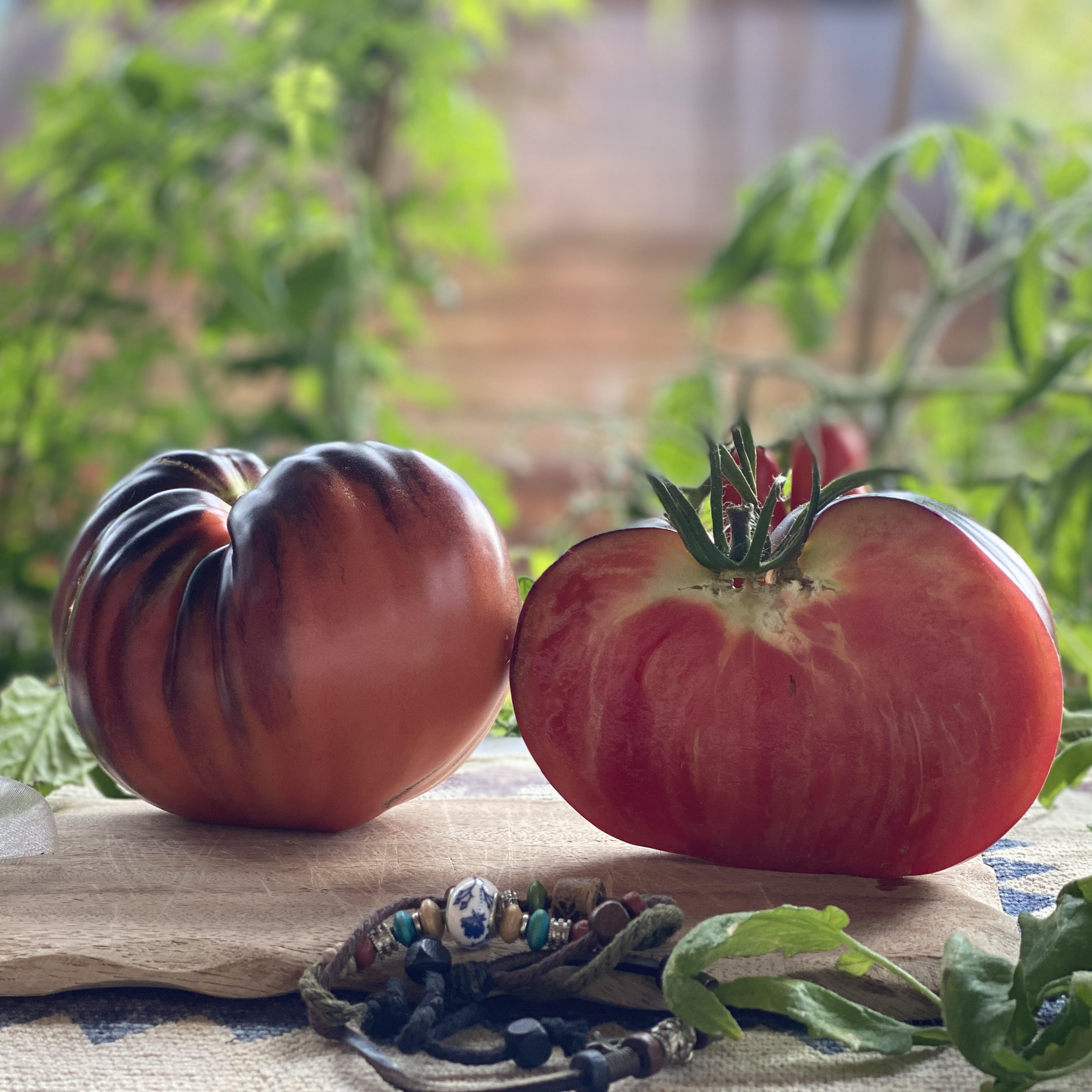 Tomatensaatgut SGT Peppers