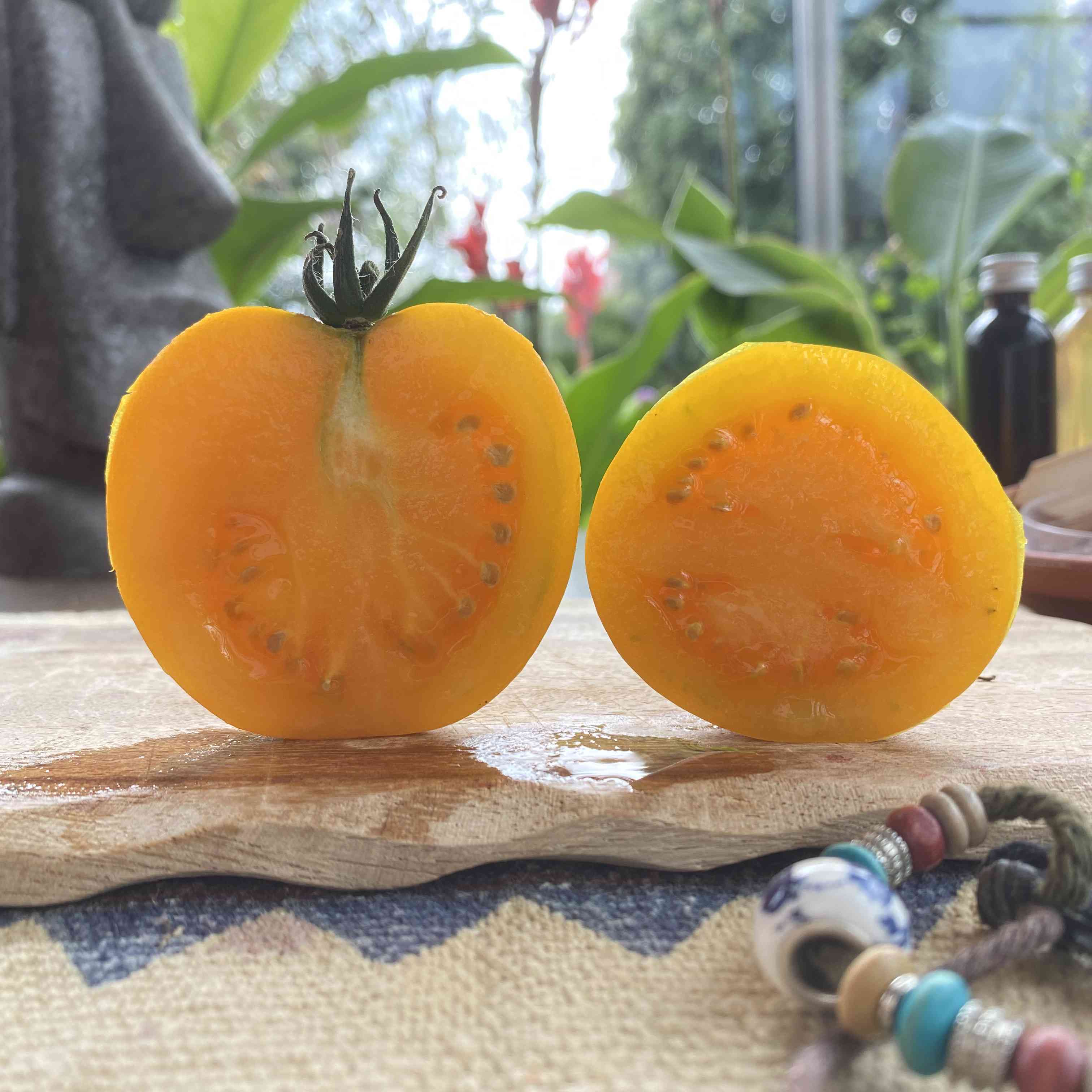 Tomatensaatgut Dills Gelbe Helene