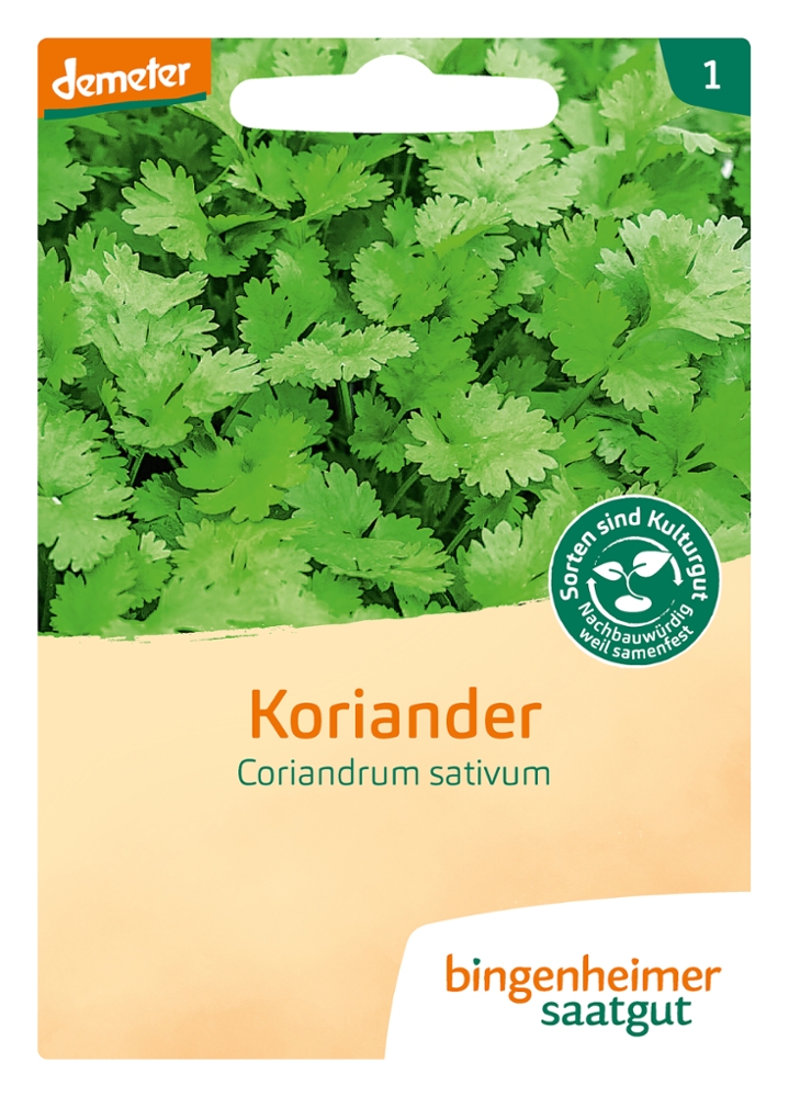 Saatgut Koriander -B-