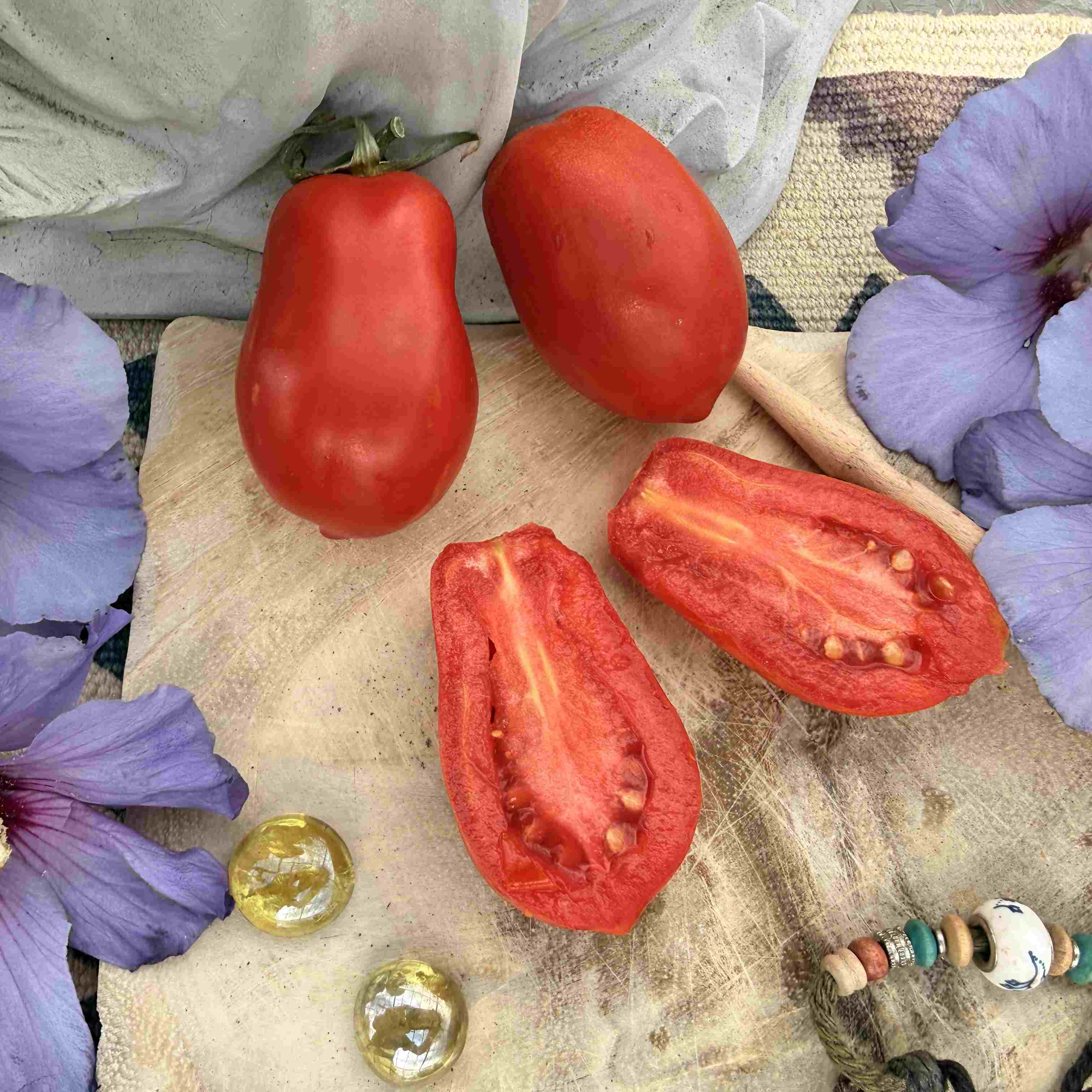Tomatensaatgut Roma