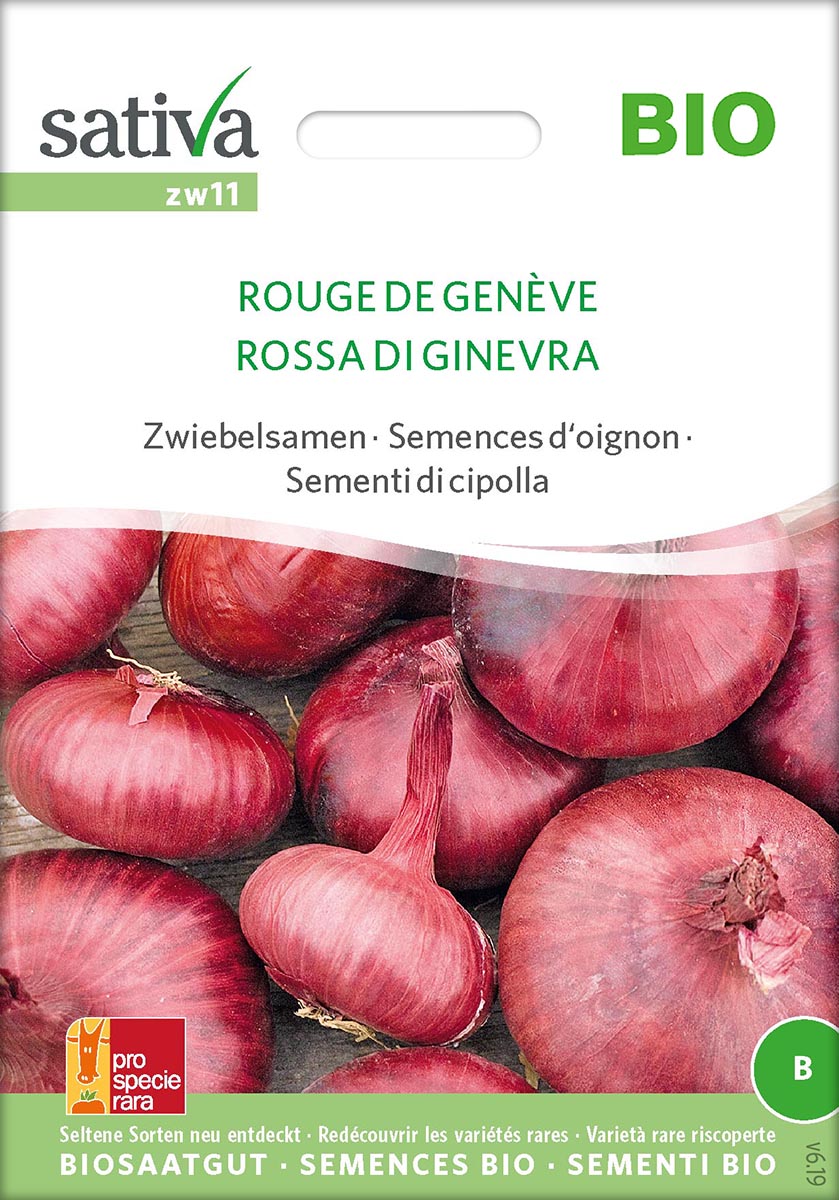 Saatgut Zwiebel Rouge de Genève -S-