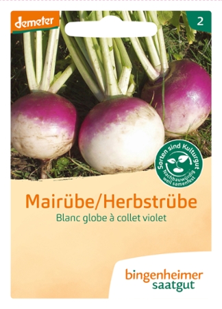 Saatgut Mairübe Blanc Globe -B-