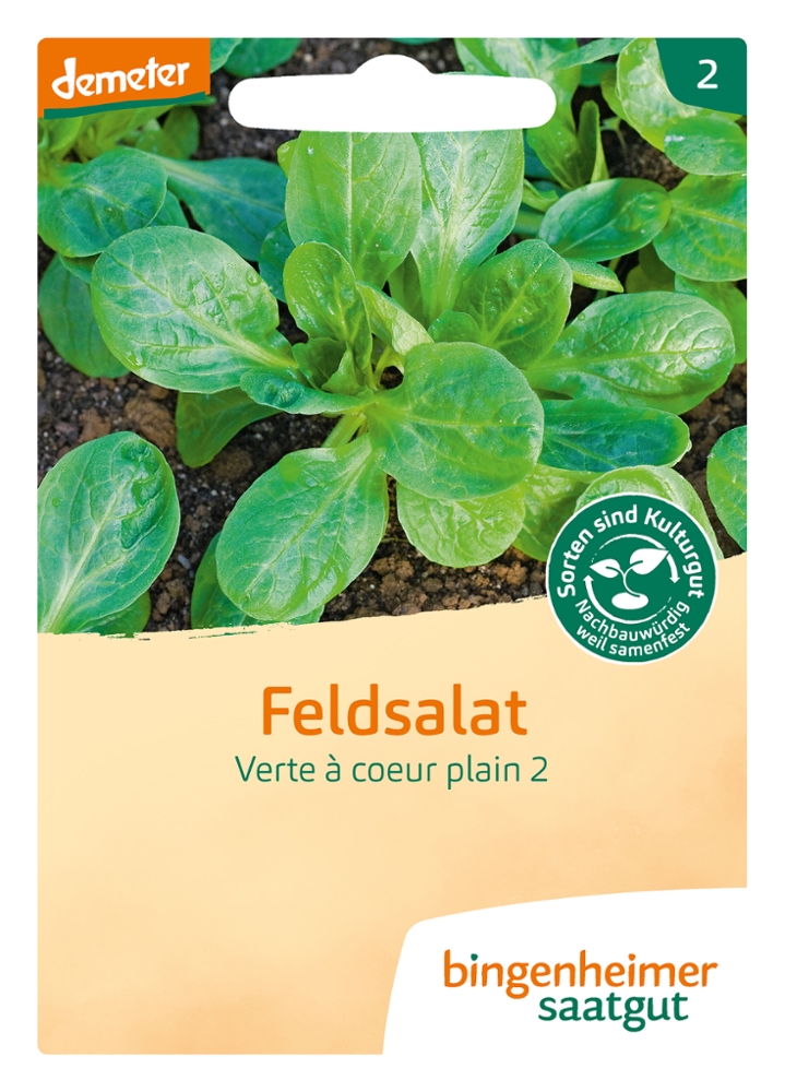 Saatgut Feldsalat Verte a coeur plein -B-