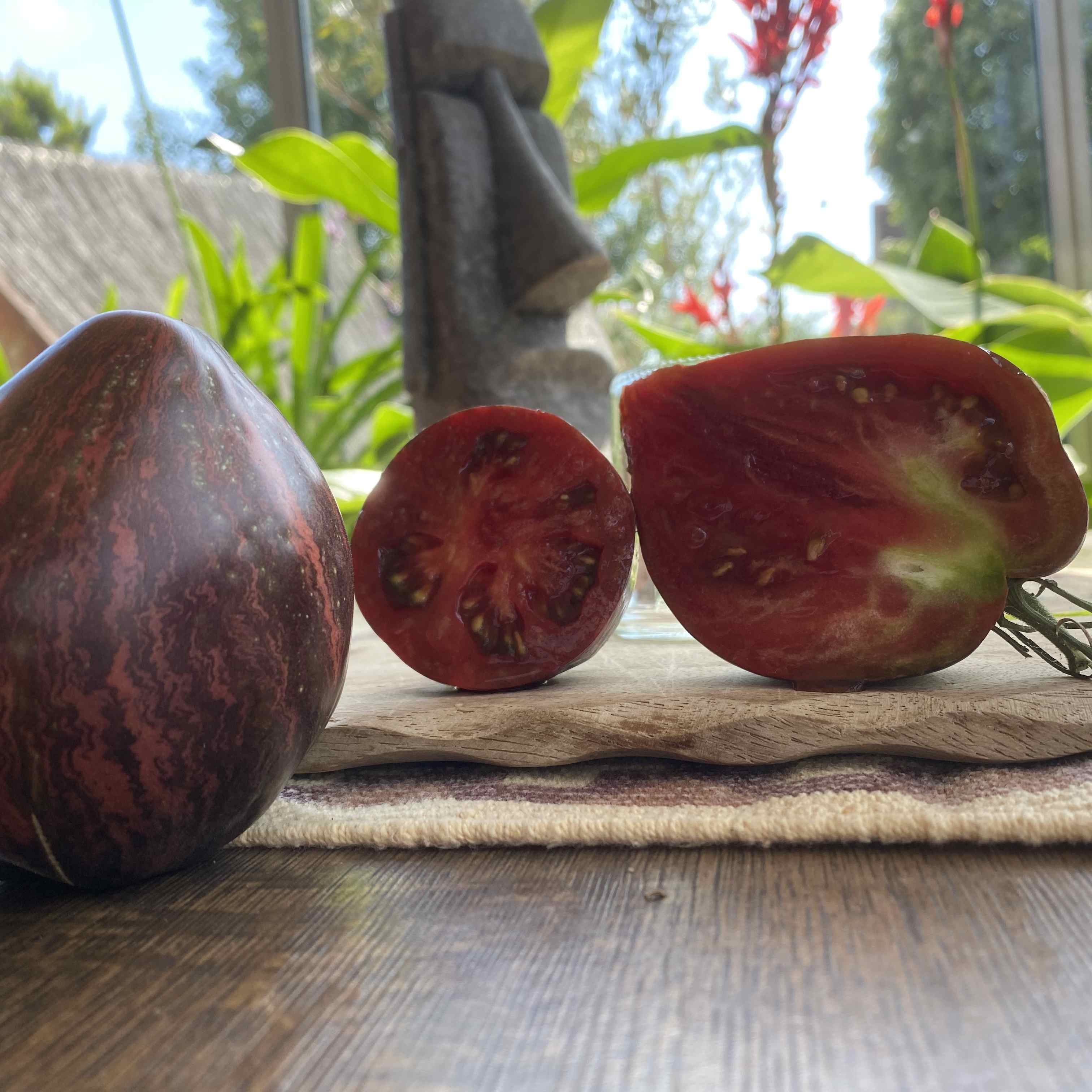 Tomatensaatgut Rebel Starfighter Prime