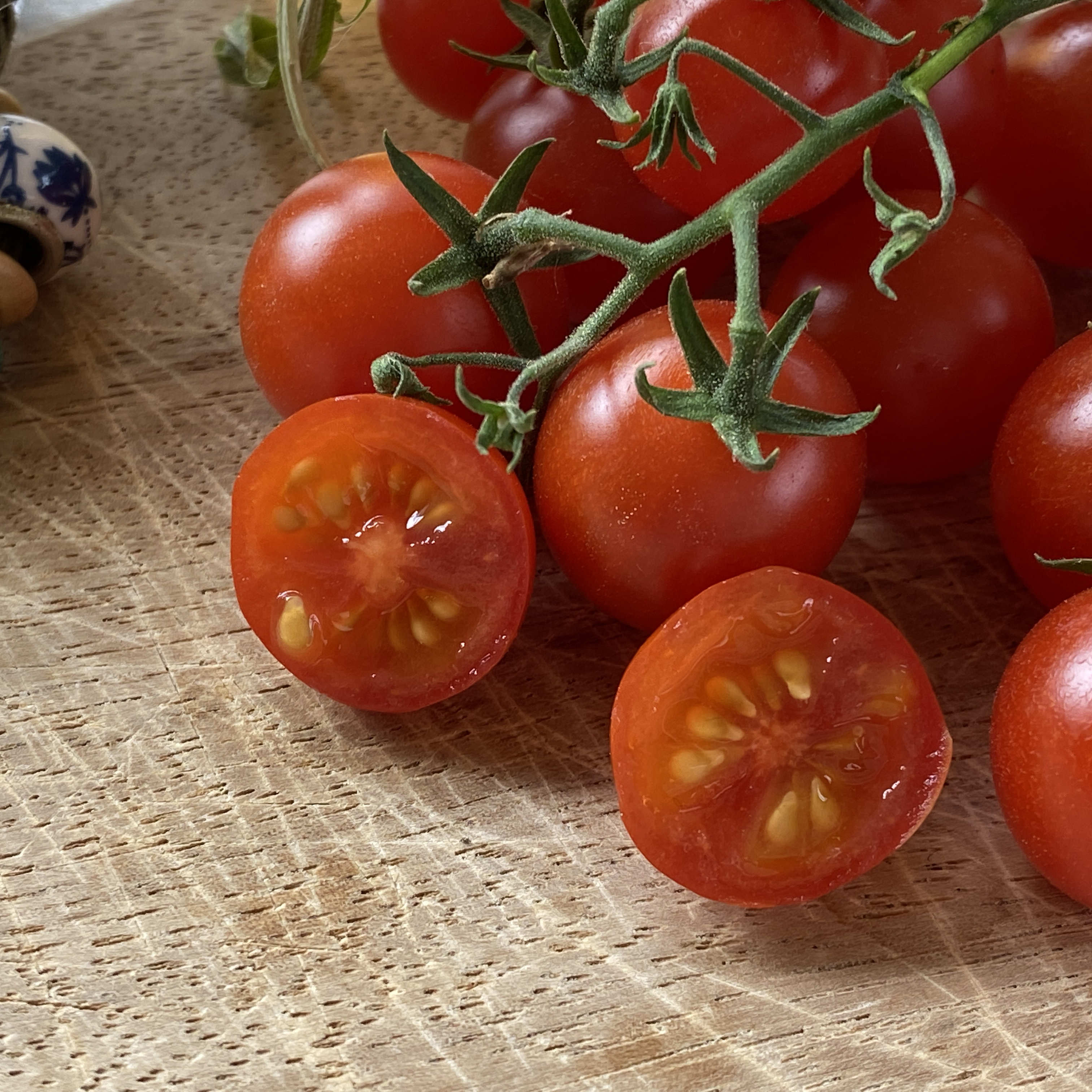 Tomatensaatgut Current Red