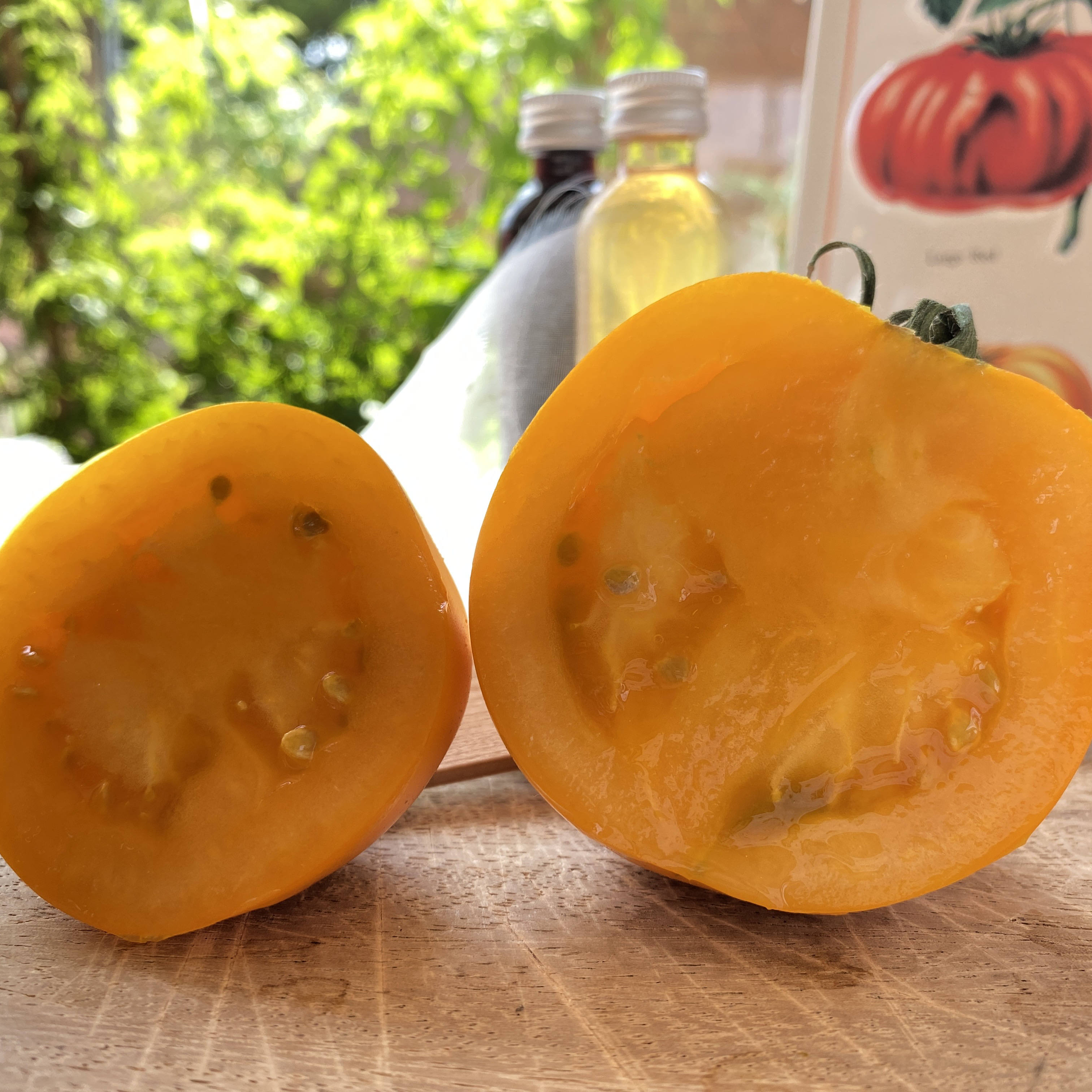 Tomatensaatgut Moonglow
