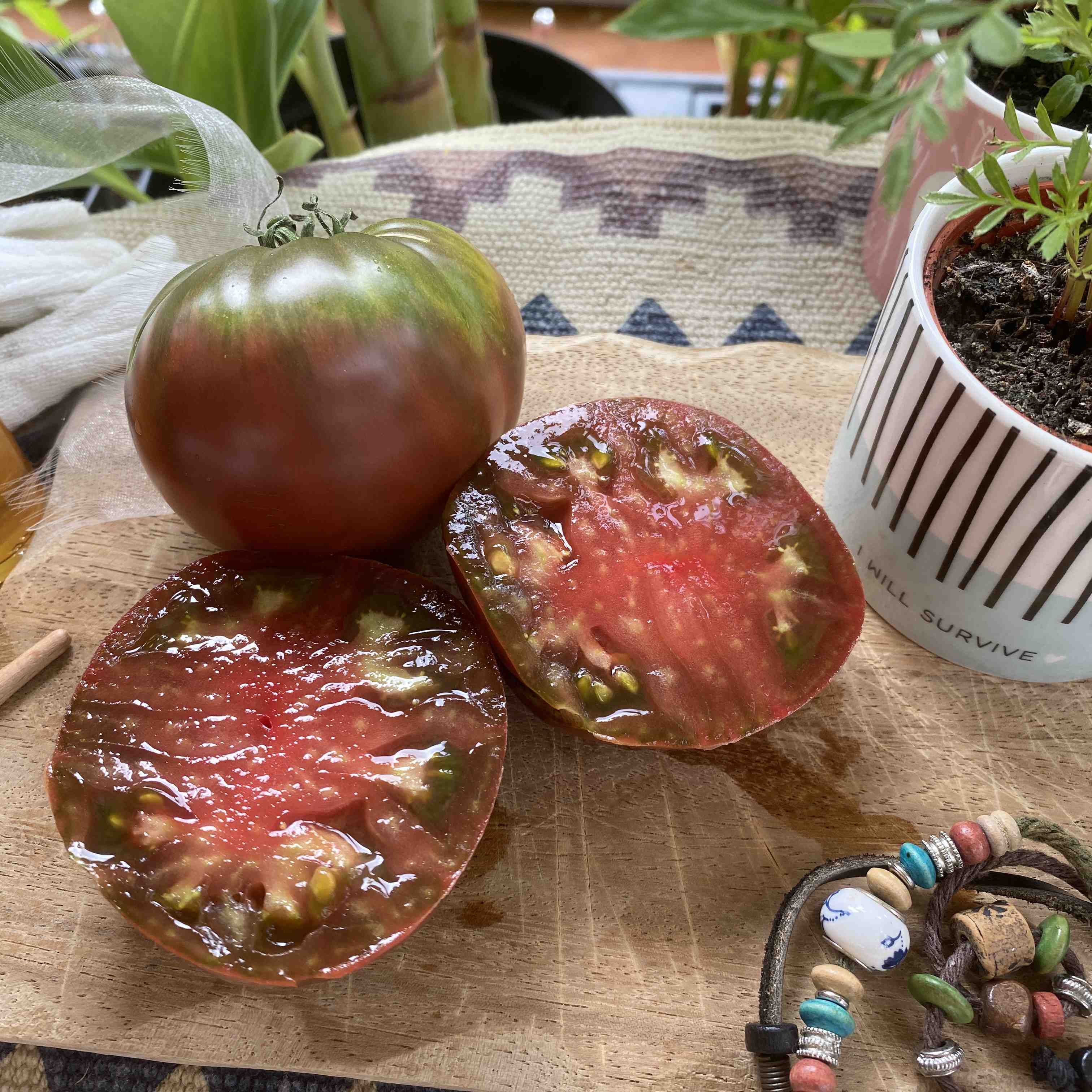 Tomatensaatgut Black Brandywine