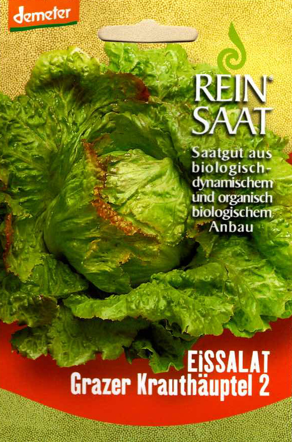 Saatgut Eissalat Grazer Kräuterhäuptel -R- 