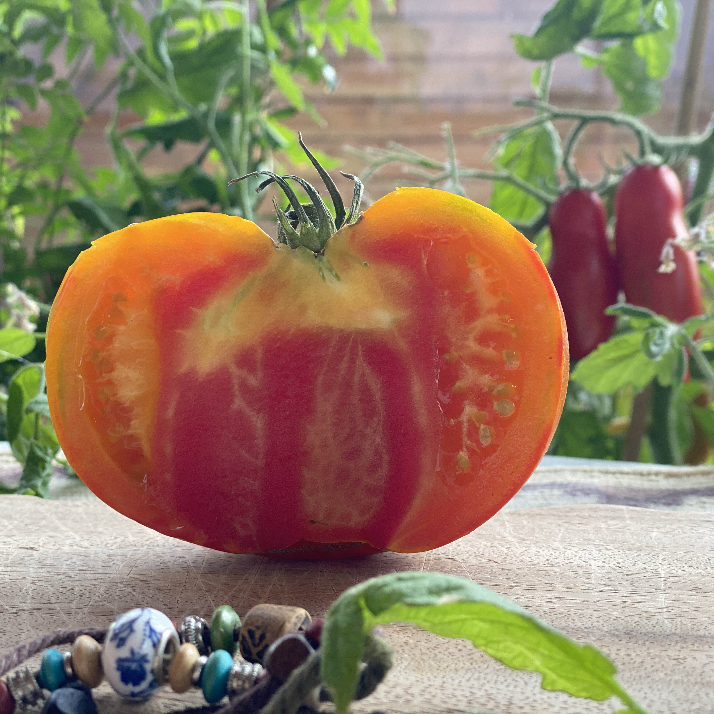 Tomatensaatgut Golden Cherokee