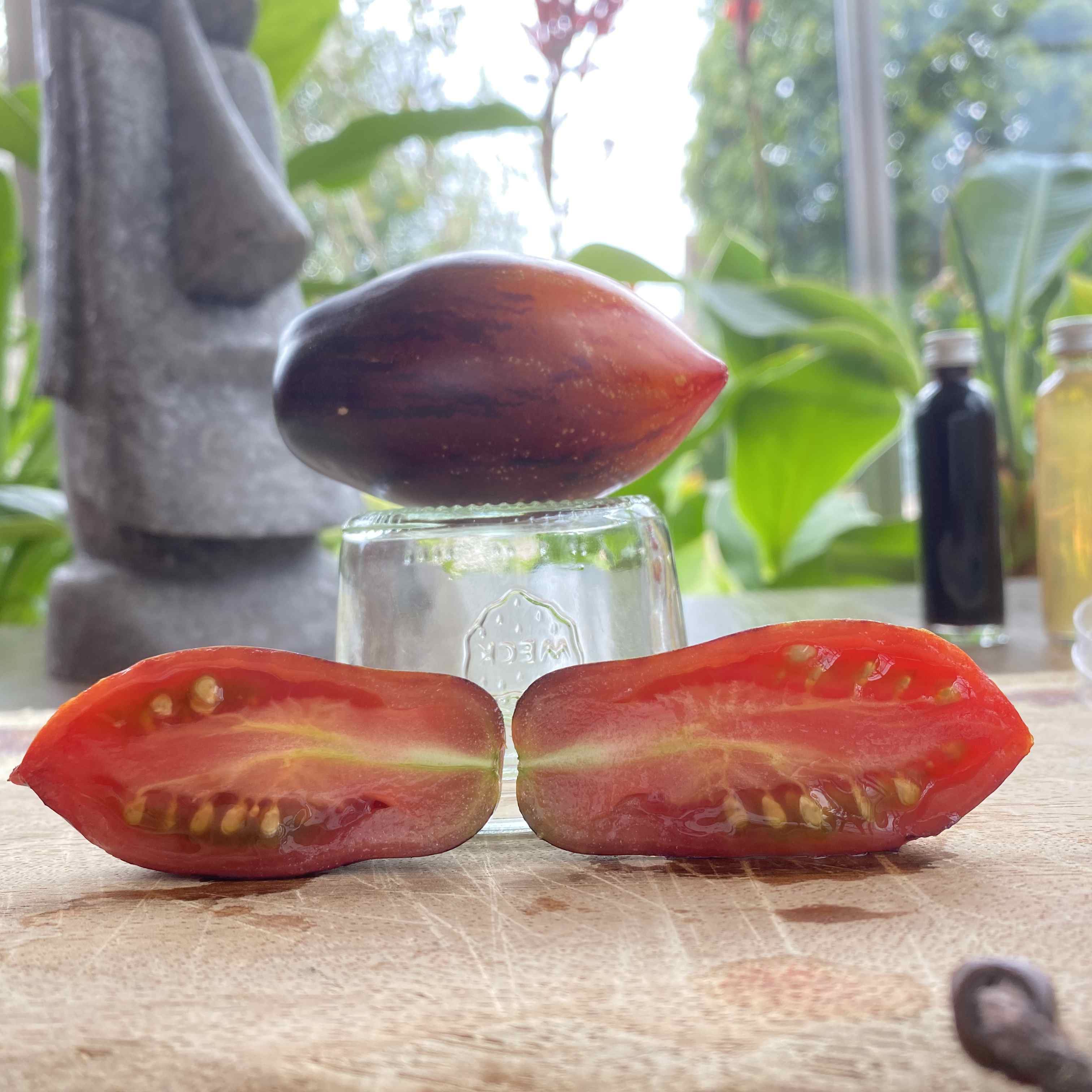 Tomatensaatgut Shadow Boxing Long Pointed