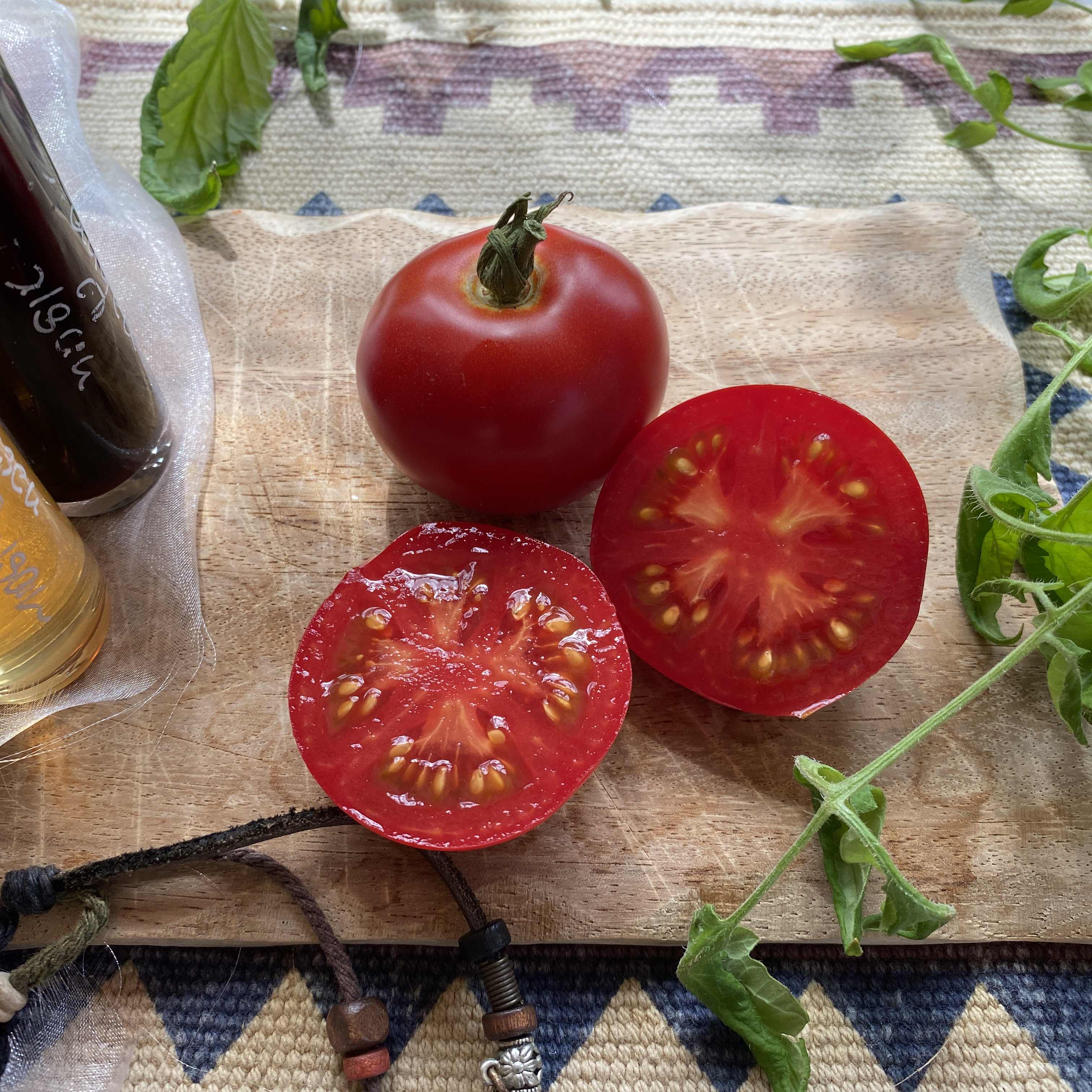 Tomatensaatgut Opas Liebling