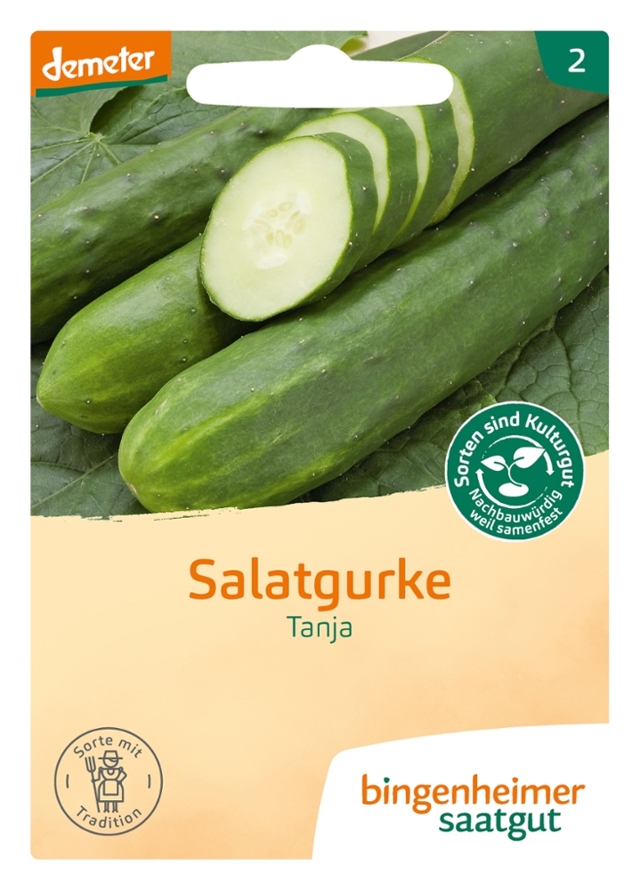 Saatgut Salatgurke Tanja -B-