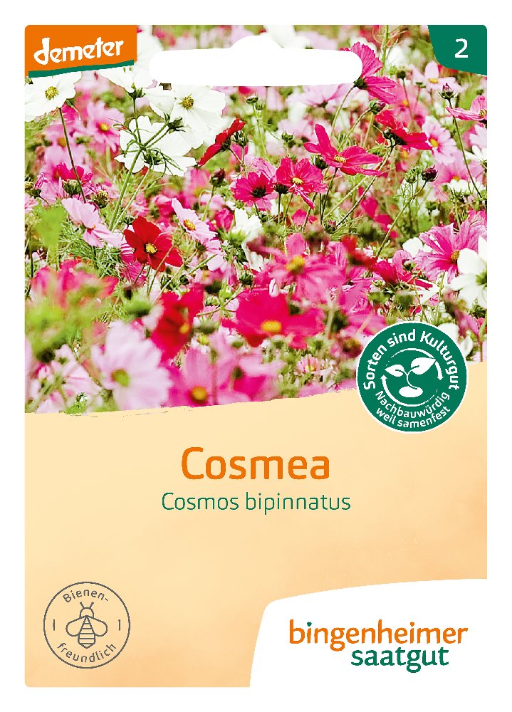 Saatgut Cosmea -B-