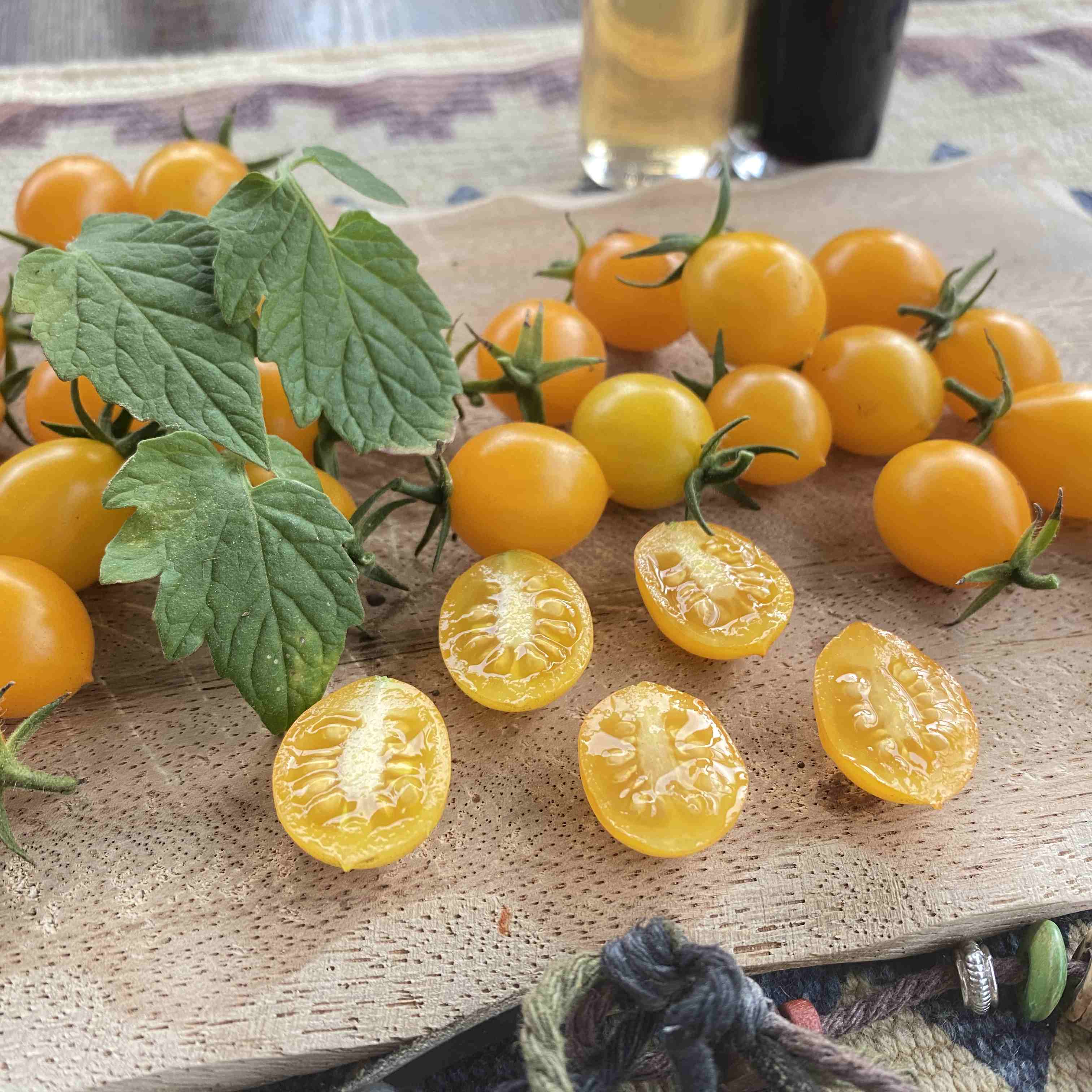 Tomatensaatgut Argentinische Wildtomate