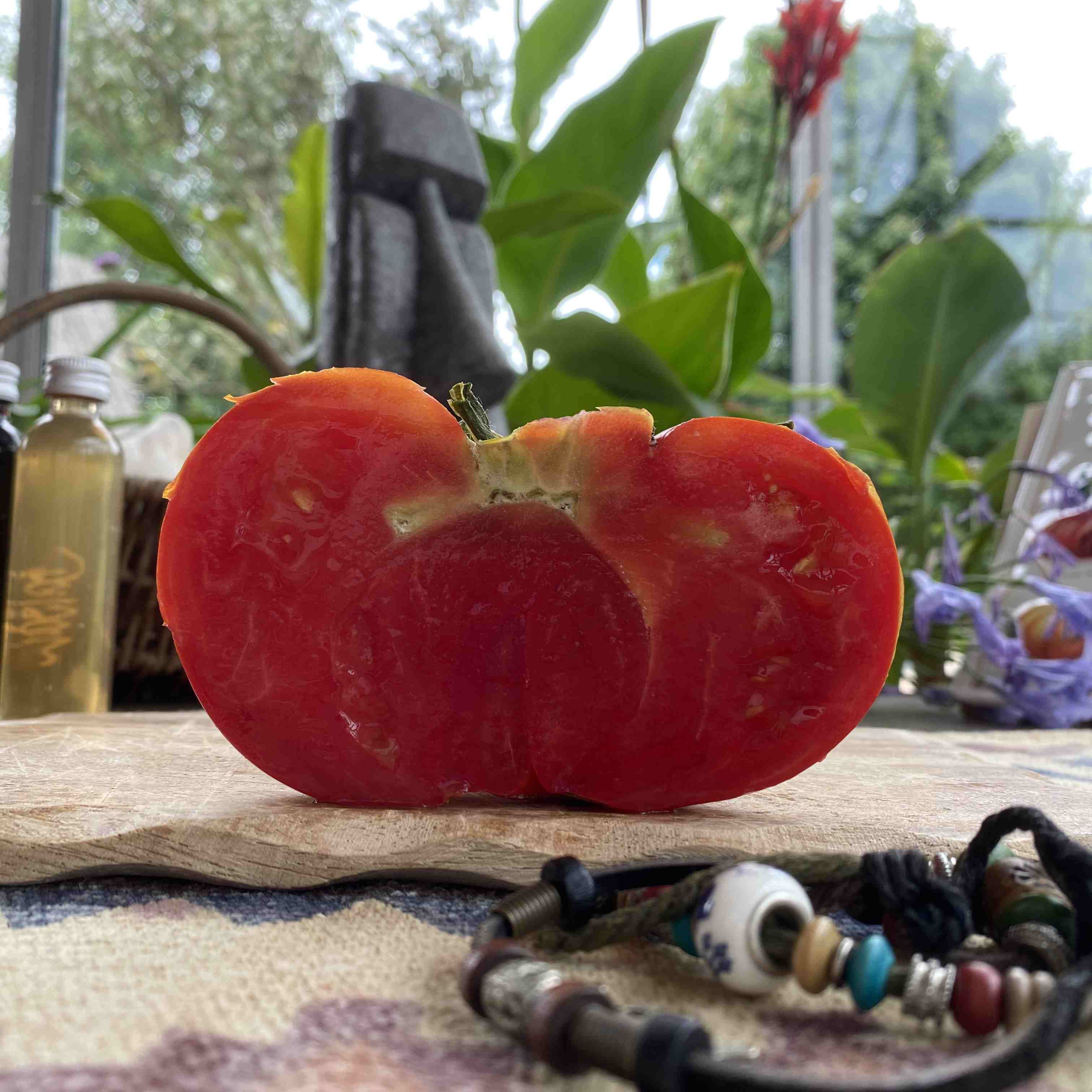 Tomatensaatgut Nonna Antonina