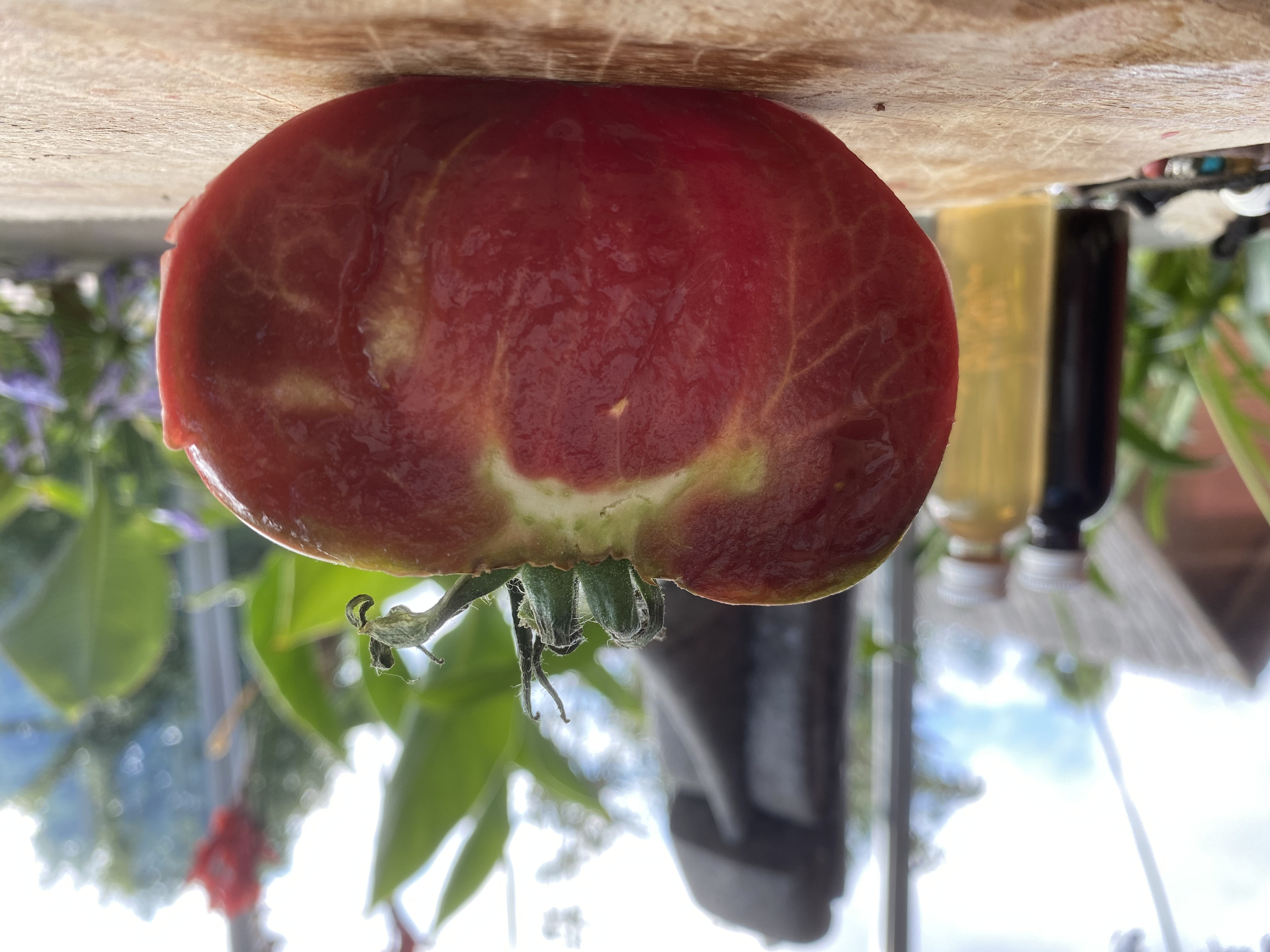 Eine braune länglich halbierte Tomate