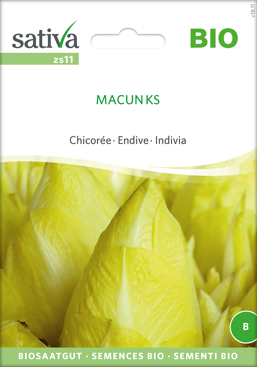 Saatgut Chicorée Macun -S-