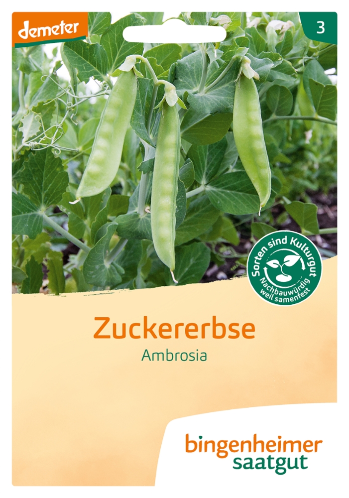 Saatgut Zuckererbse Ambrosia -B-