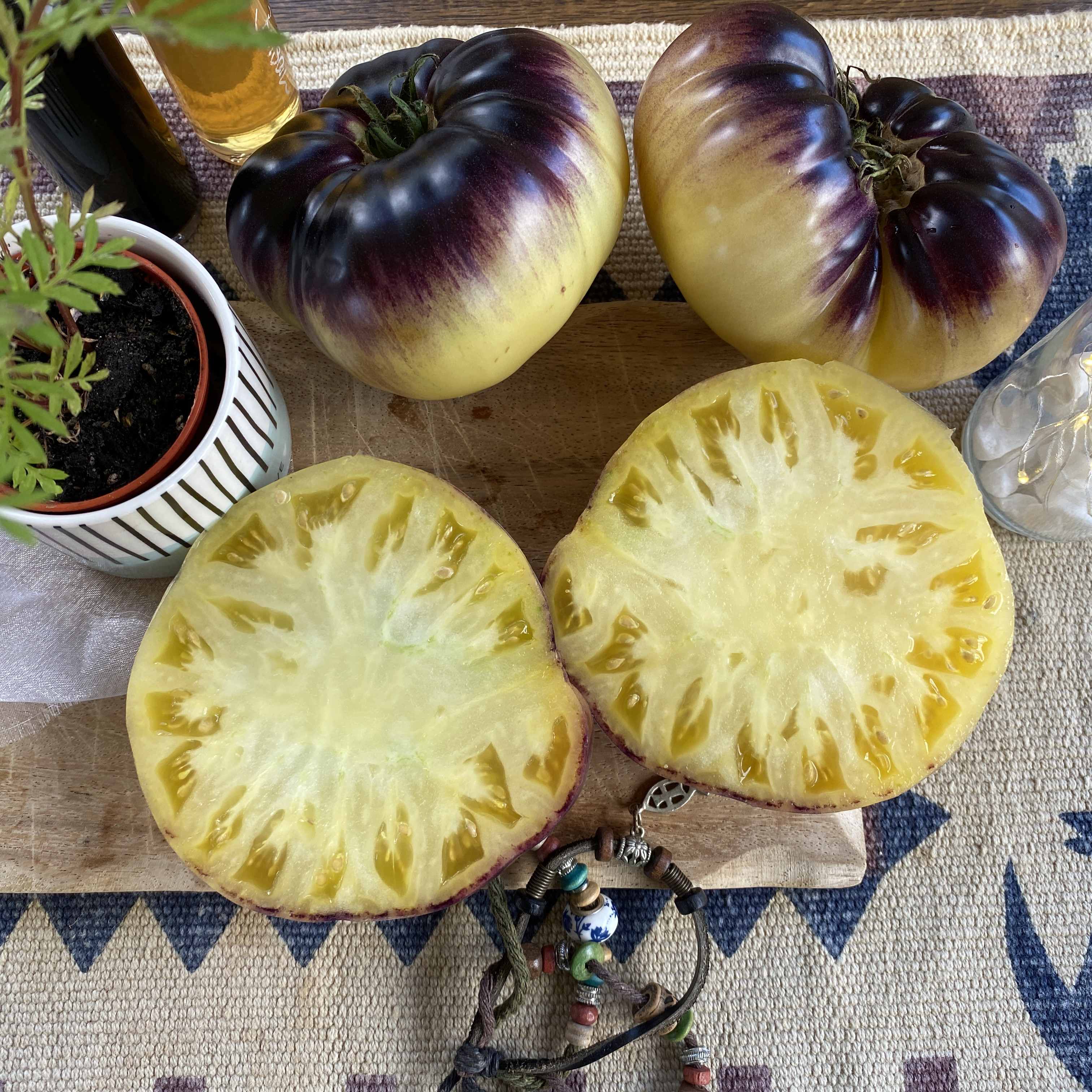 Tomatensaatgut Sart Reloise