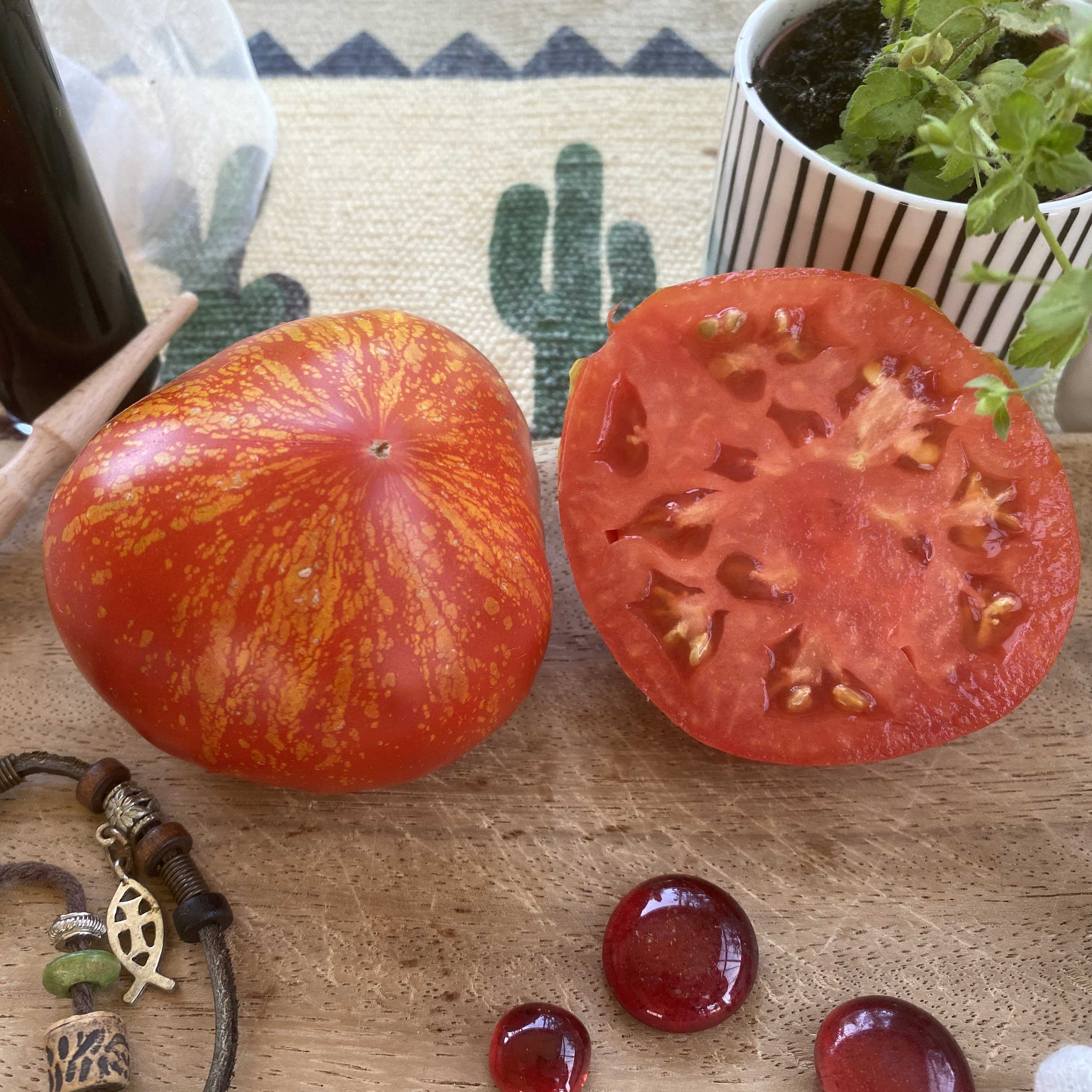 Tomatensaatgut Feuerwerk