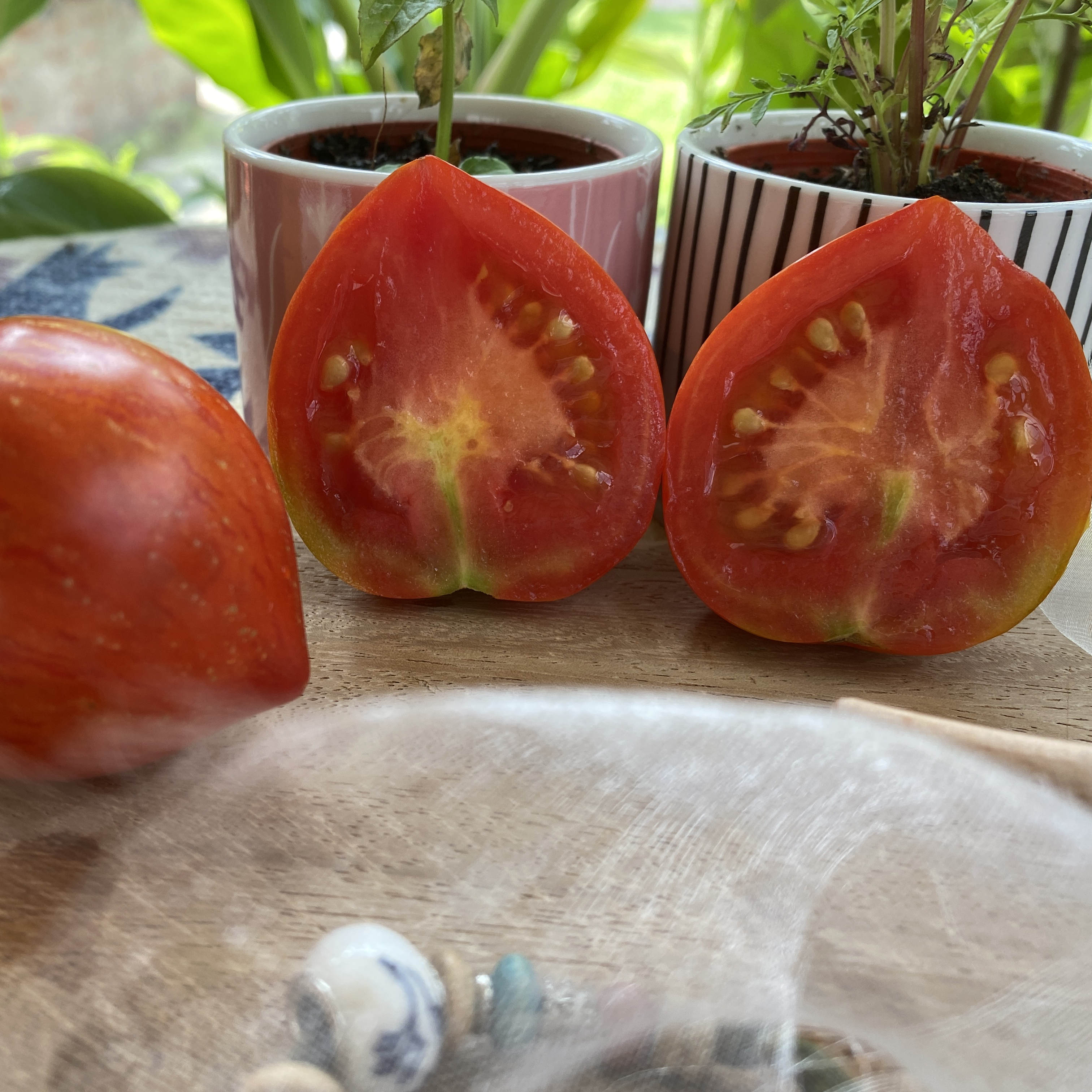 Tomatensaatgut The Oxbow Striped Heart