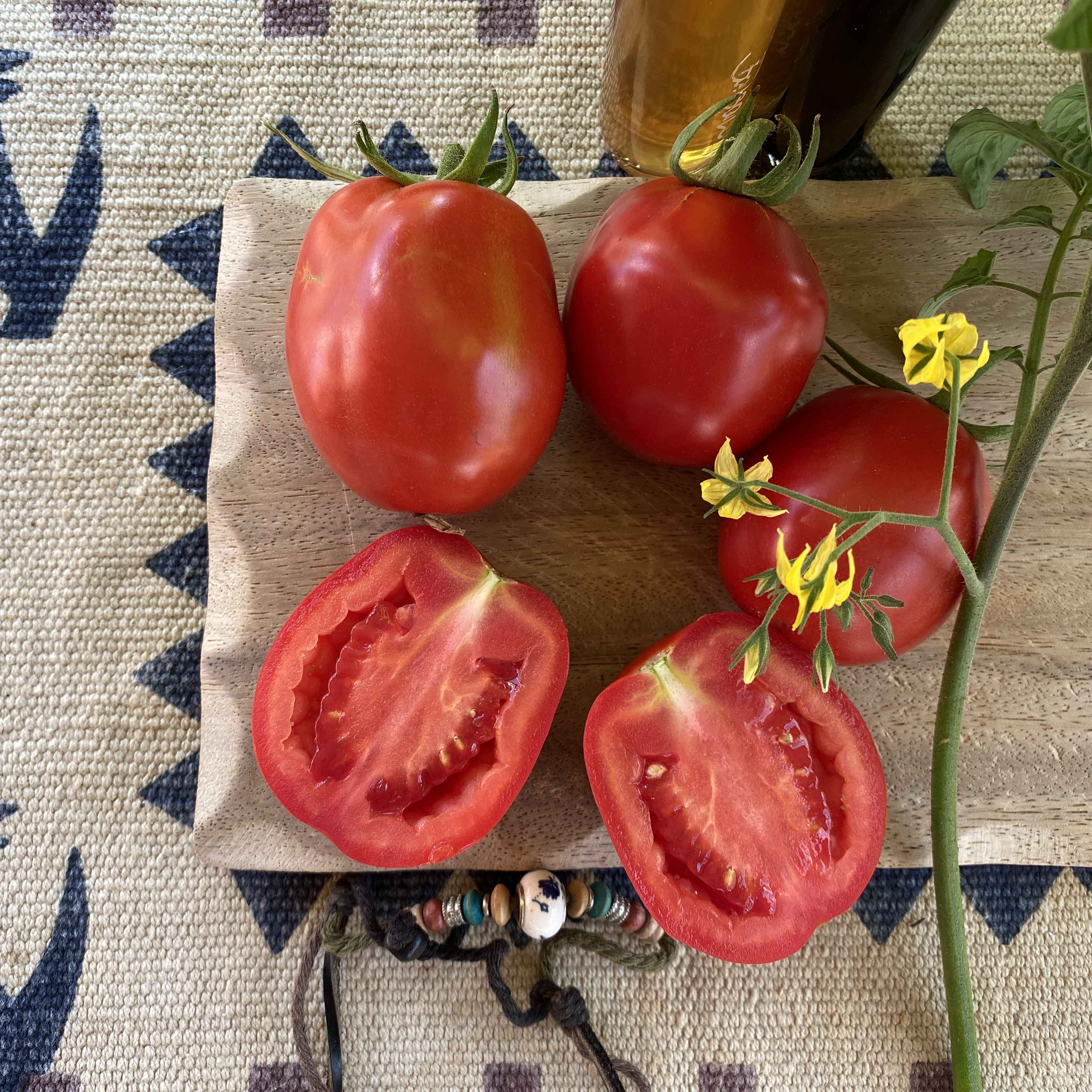 Tomatensaatgut Romanelle