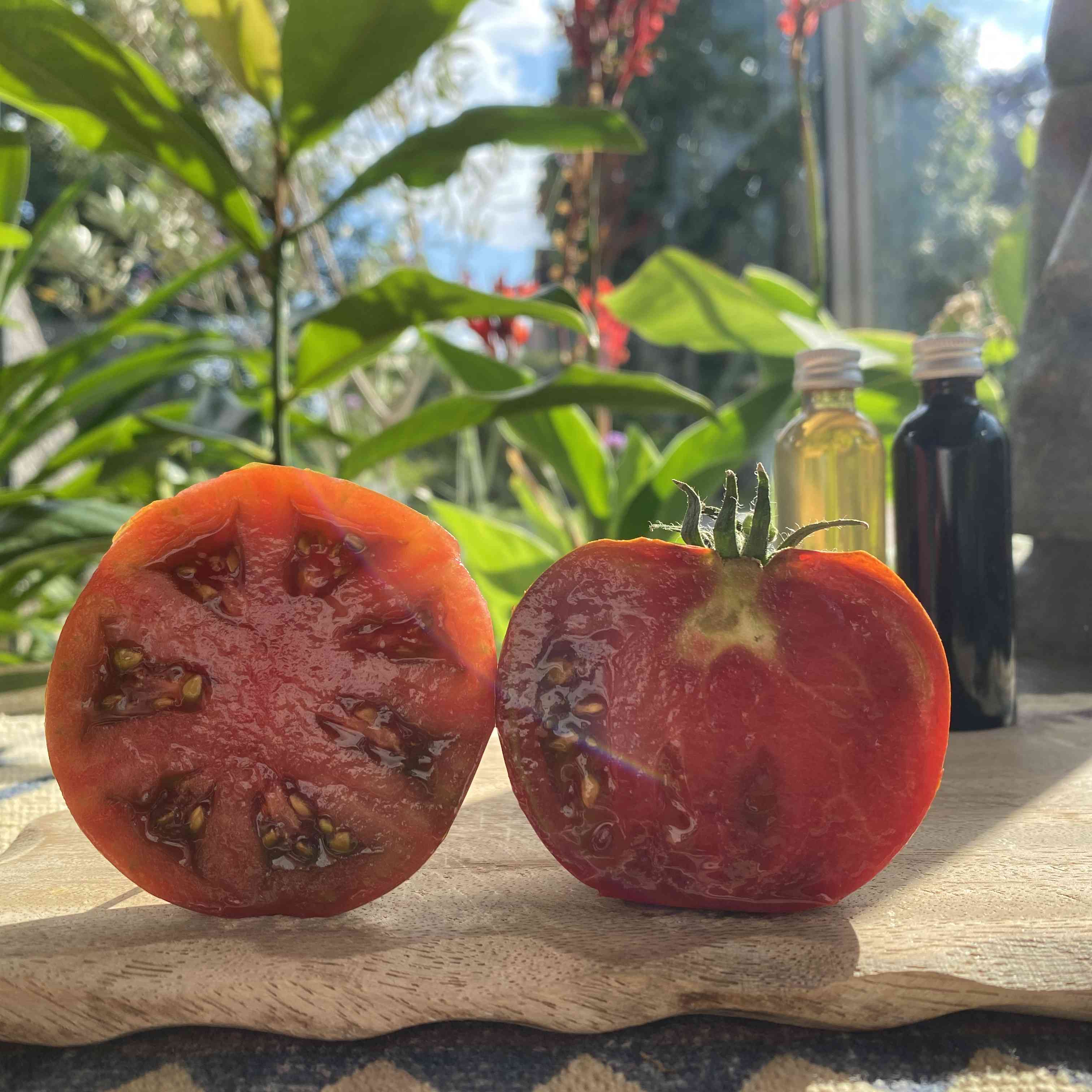 Tomatensaatgut Cherokee Chocolat