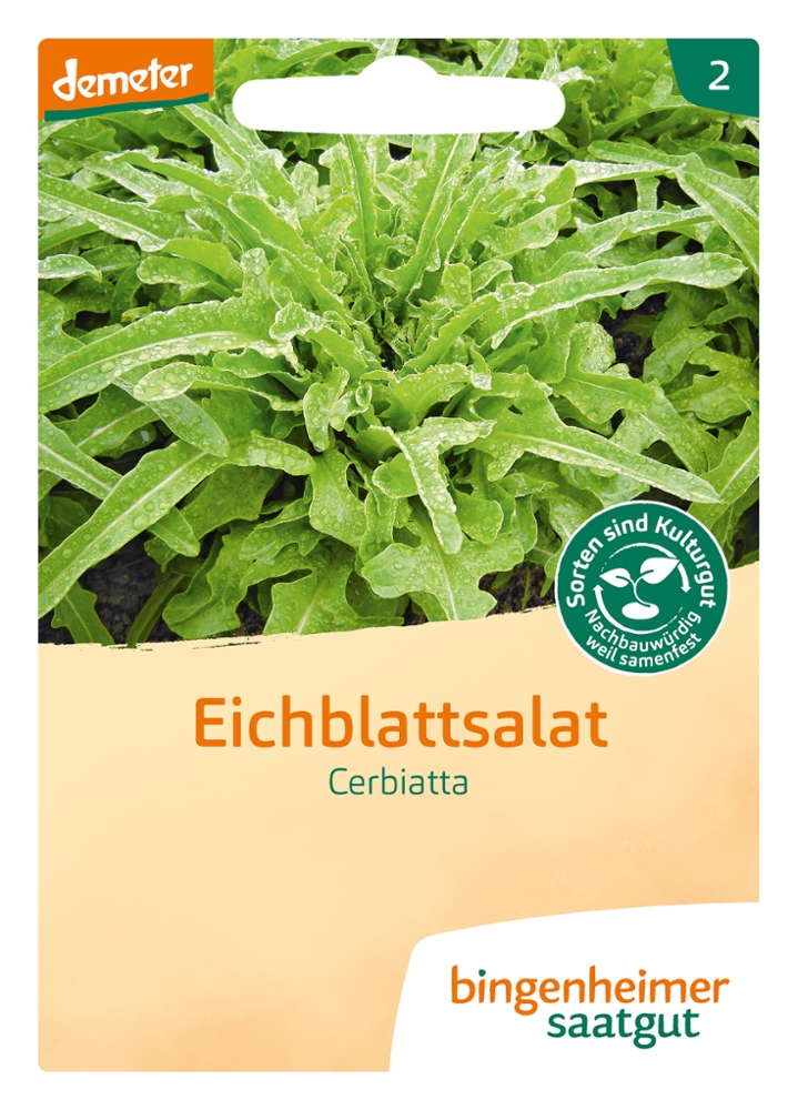 Saatgut Cerbiatta Salat -B-