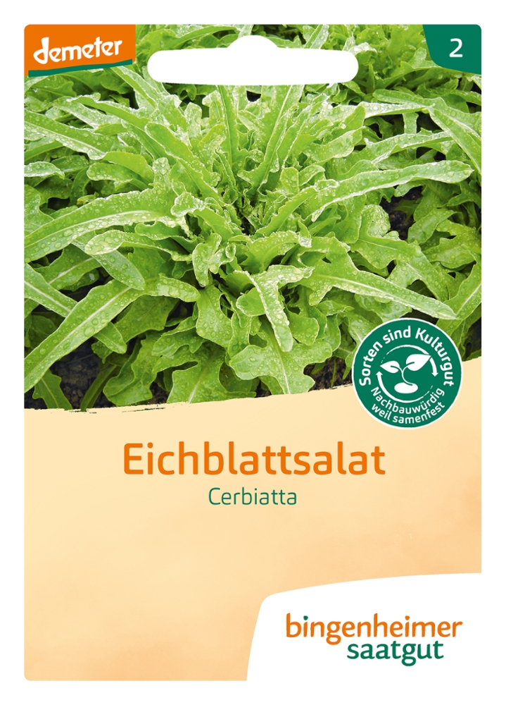 Saatgut Cerbiatta Salat -B-