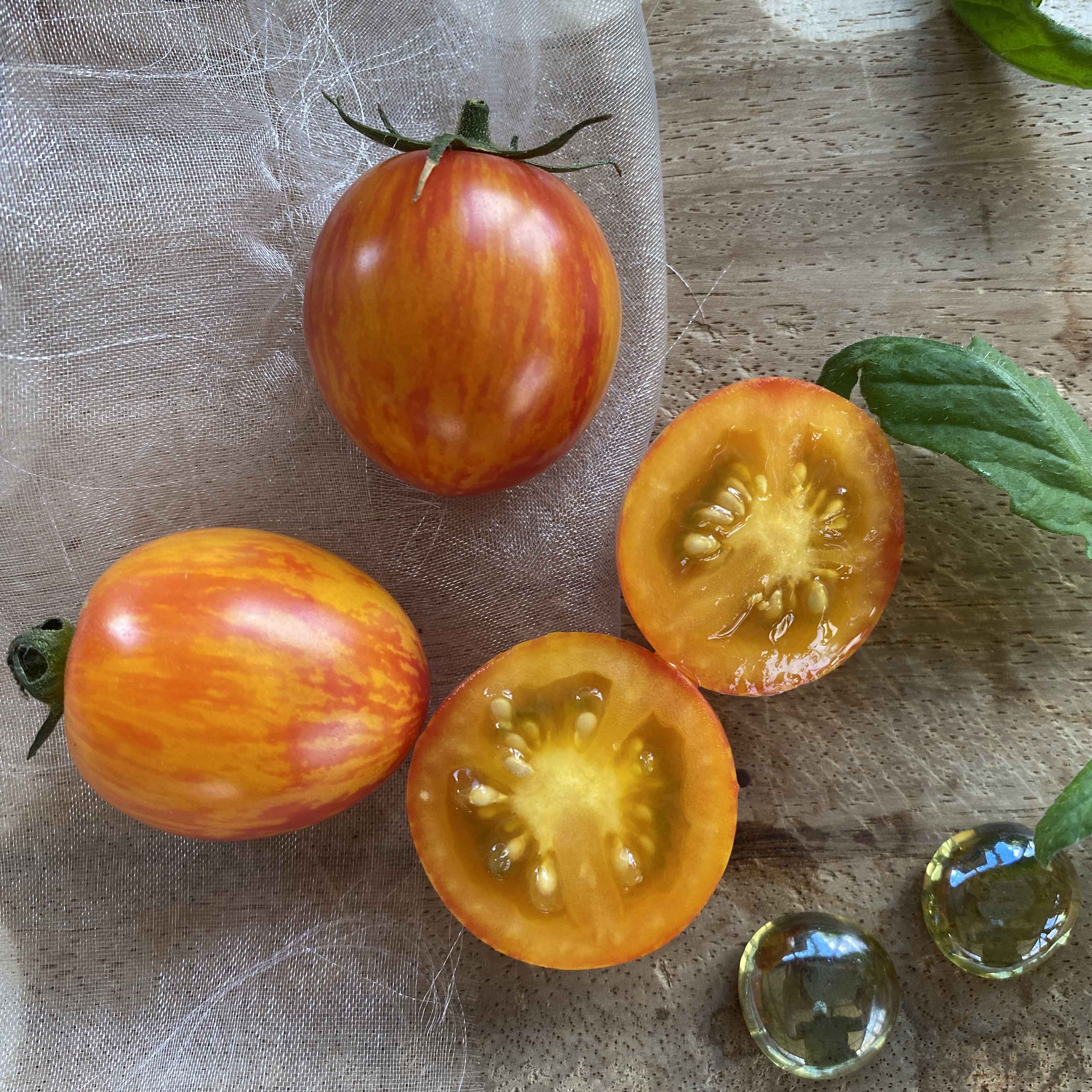 Tomatensaatgut Sunrise Bumble Bee