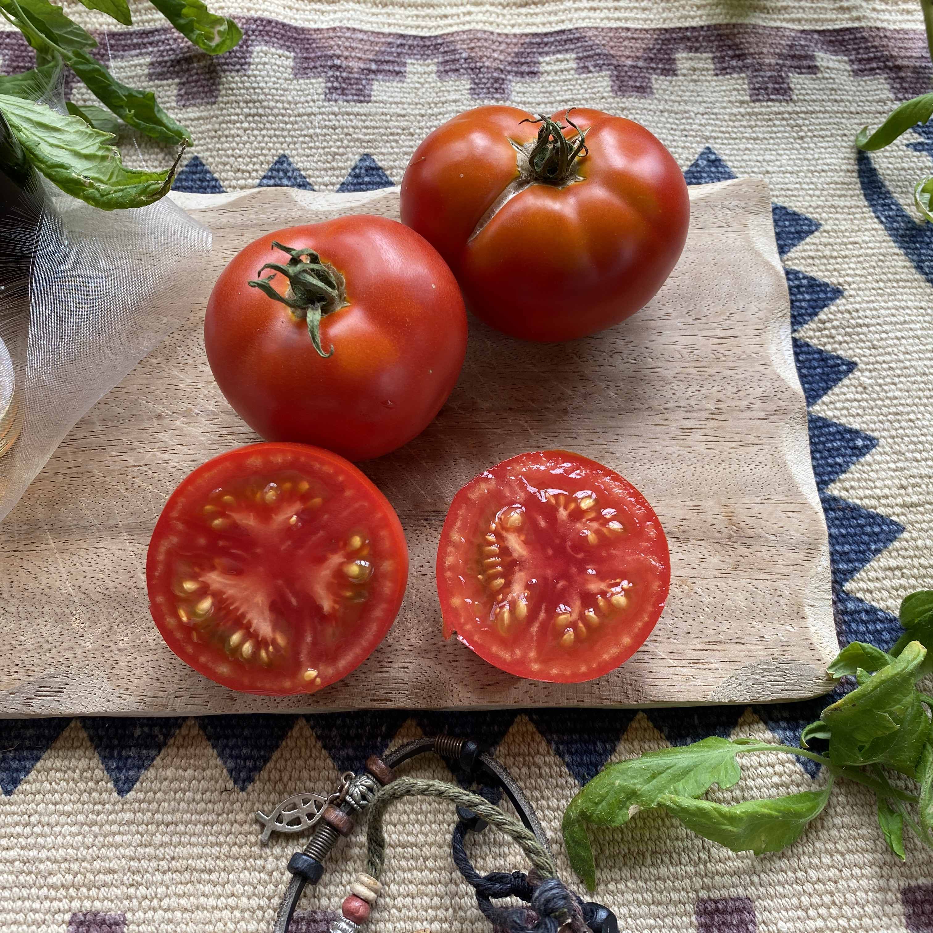 Tomatensaatgut Bonner Beste