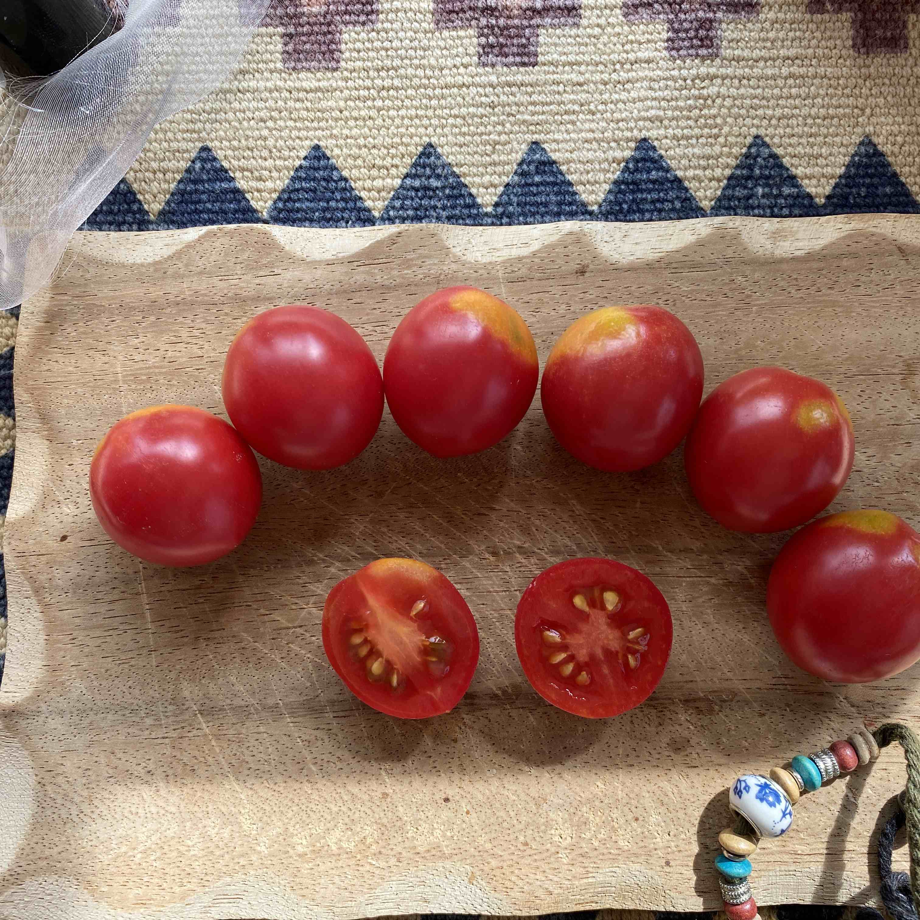 Tomatensaatgut Anmore Treasures