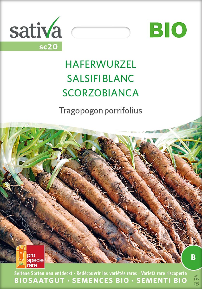 Saatgut Haferwurzel -S-