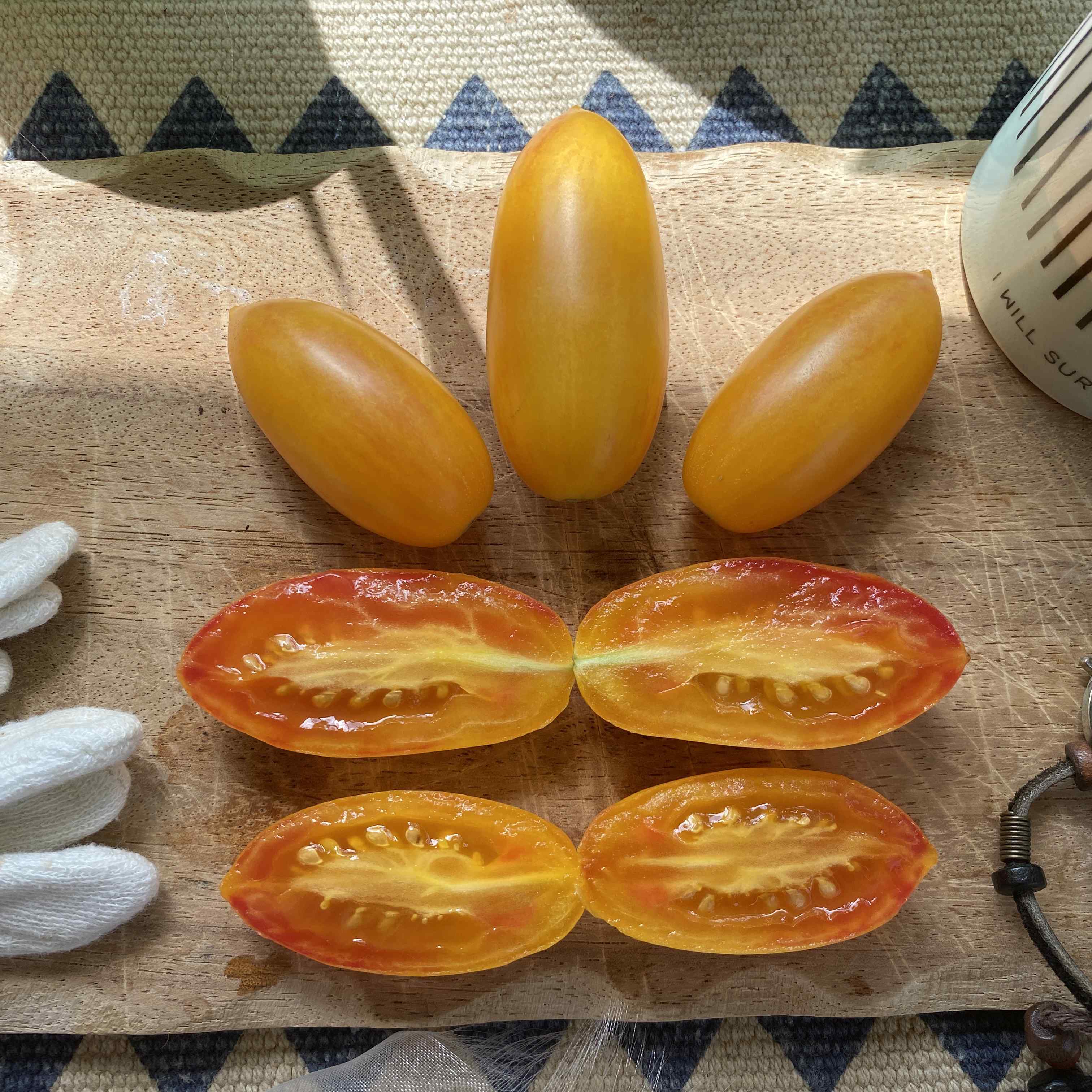 Tomatensaatgut Blush