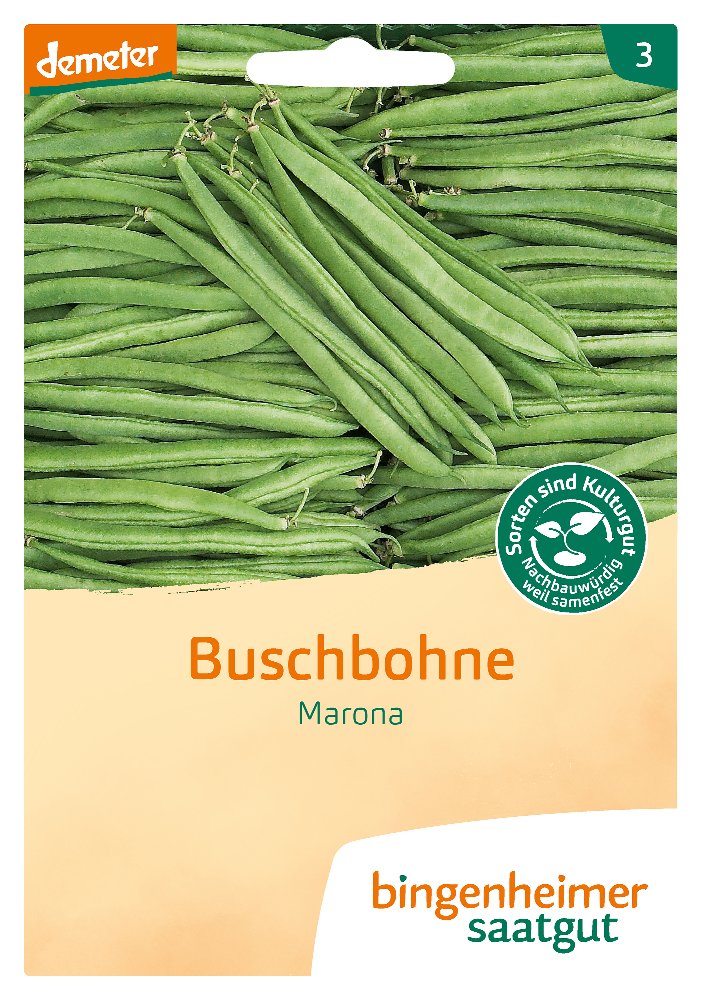 Saatgut Buschbohne Marona -B-