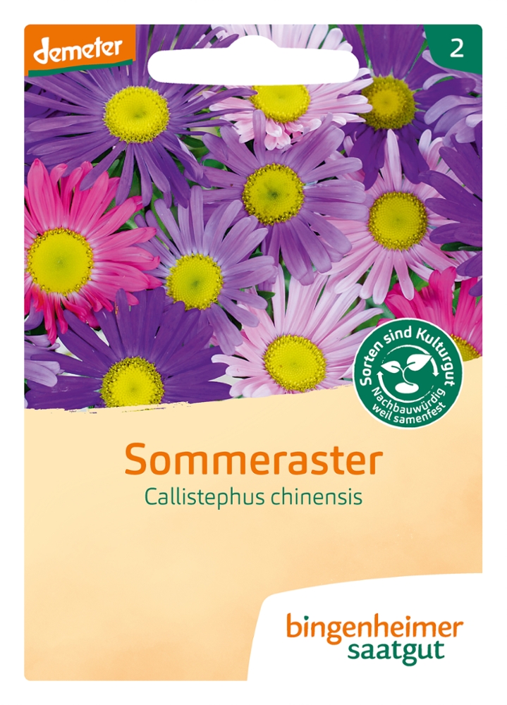 Saatgut Sommeraster -B-