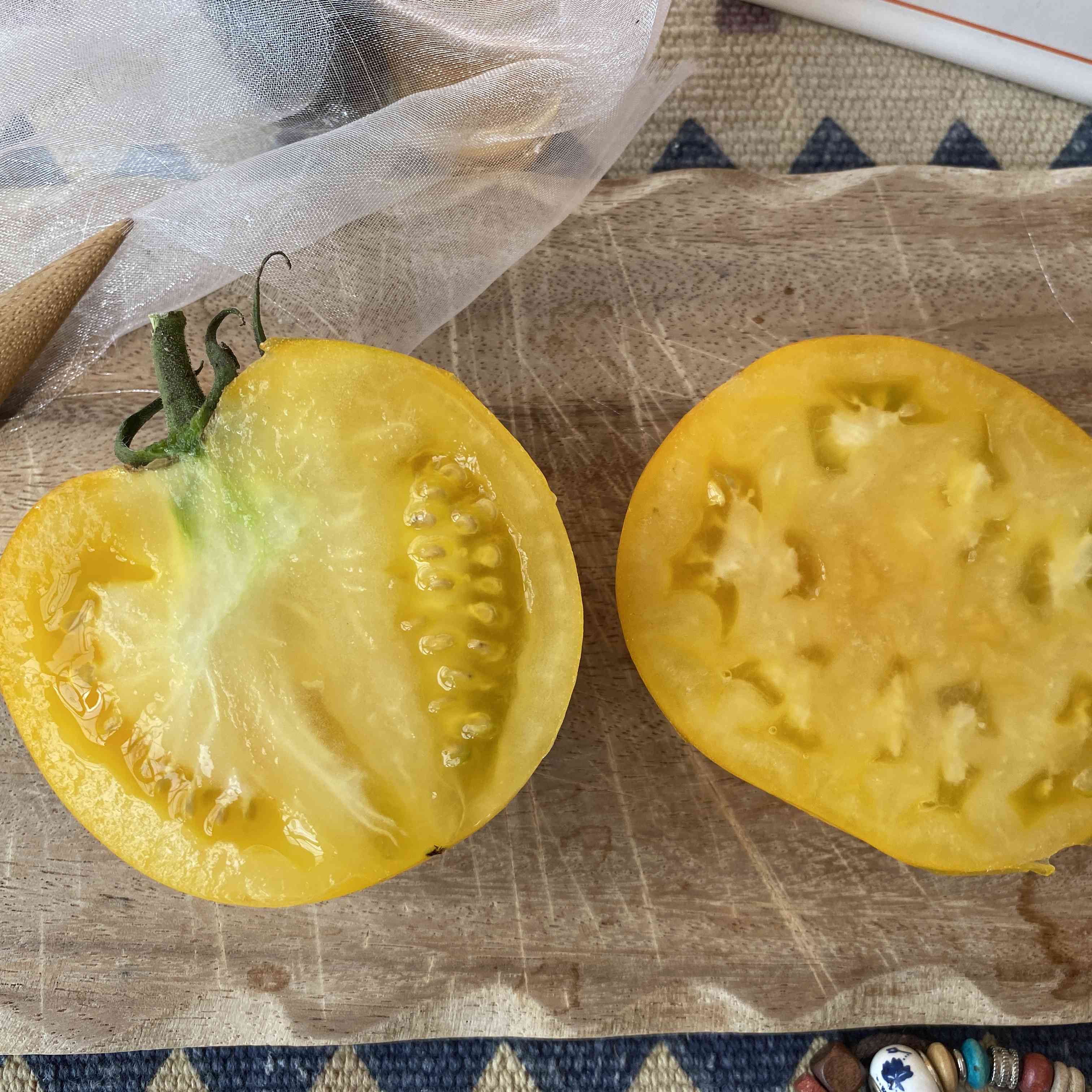 Tomatensaatgut Manyel