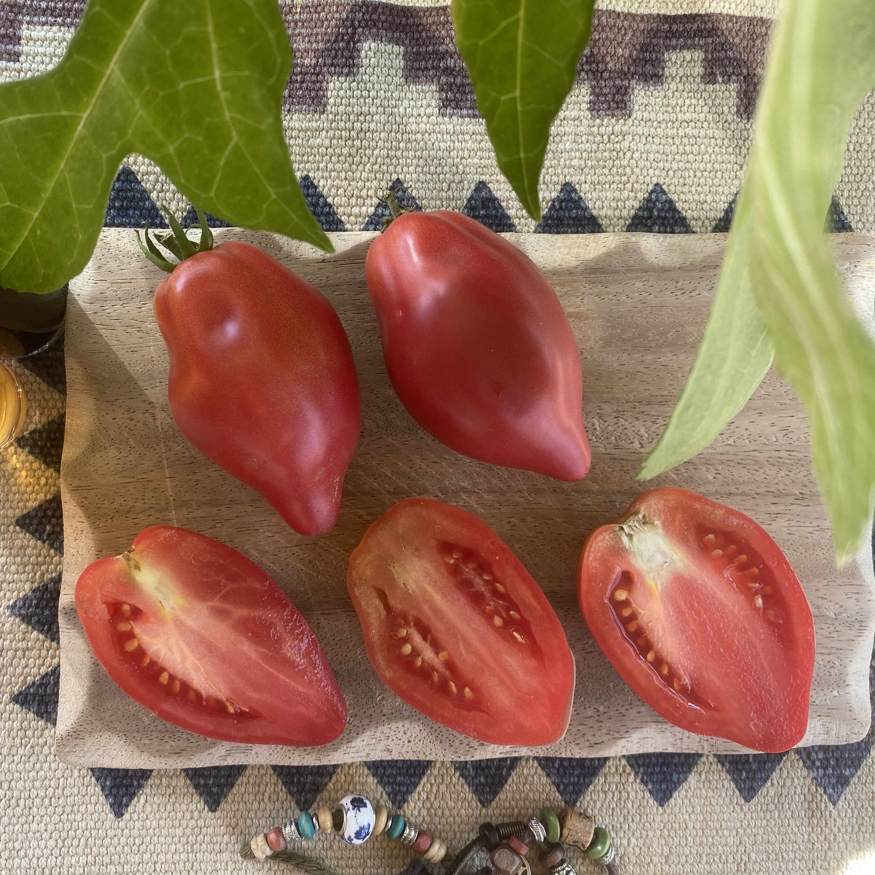 Tomatensaatgut Desperado