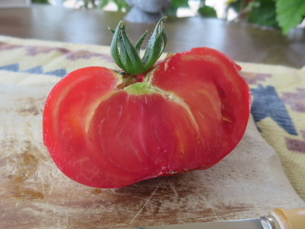 Rot und Pinke Tomatensorte mit wunderbarem Geschmack