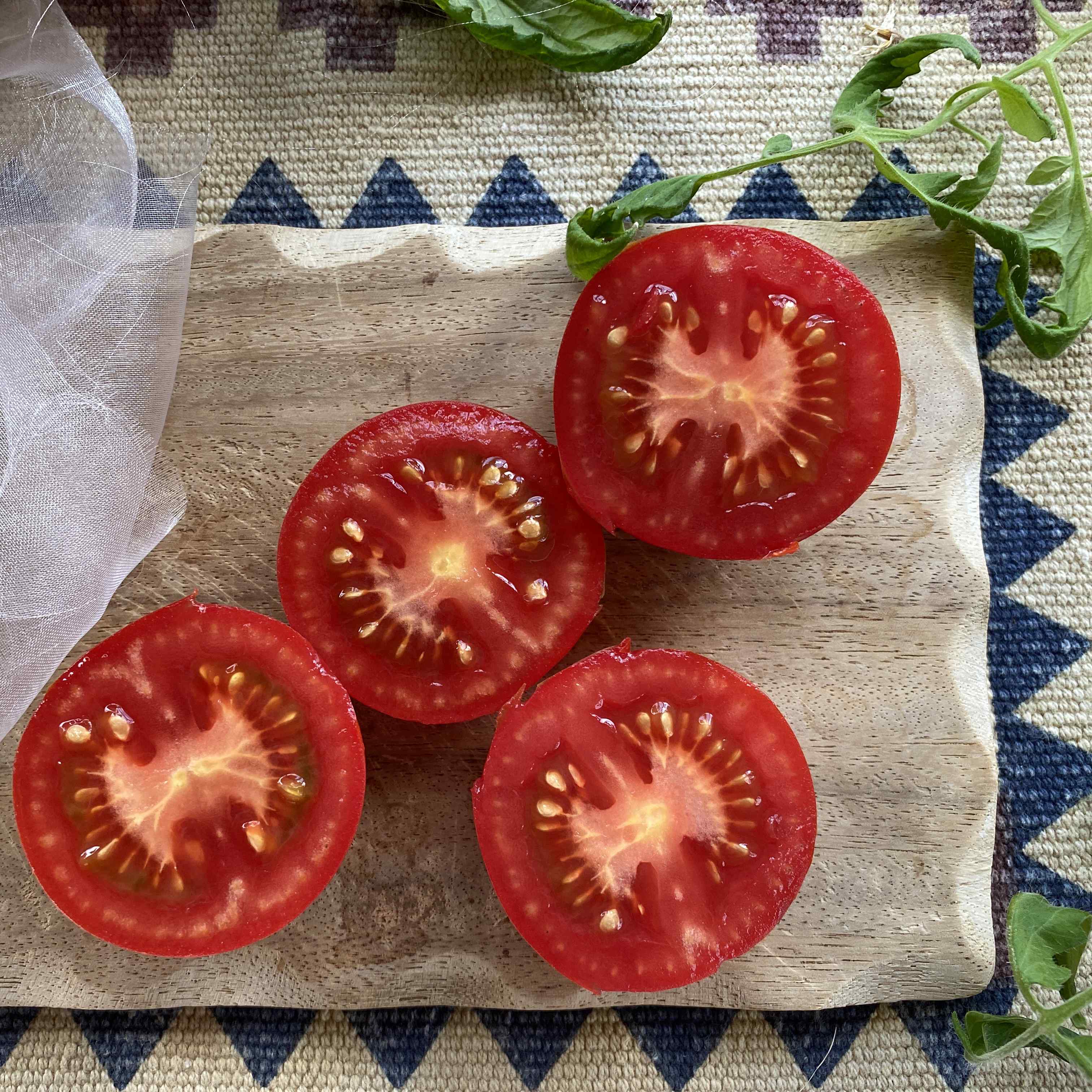 Tomatensaatgut Beymes Erntesegen